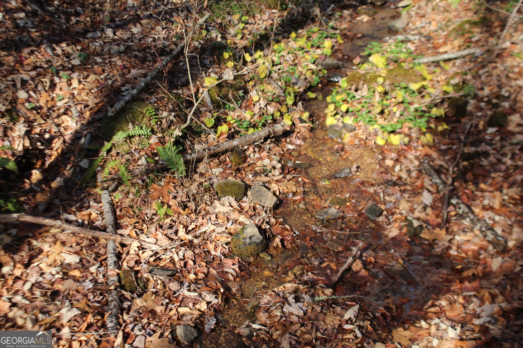 1 bedroom, 375 sq ft cabin,single family residence for sale at TRACT B Highland Cove, Hayesville, NC 28904 — photo 9