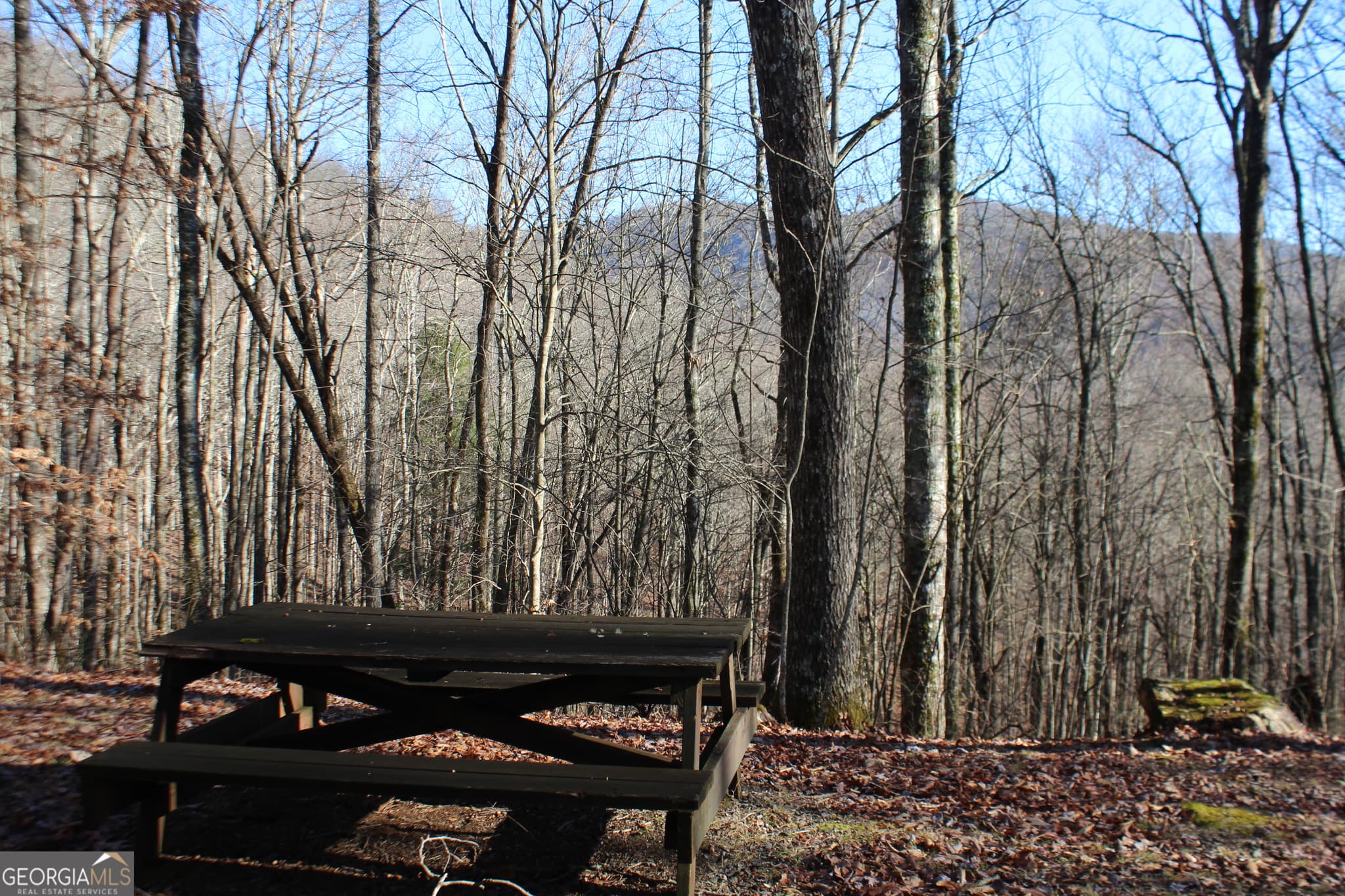 1 bedroom, 375 sq ft cabin,single family residence for sale at TRACT B Highland Cove, Hayesville, NC 28904 — photo 10