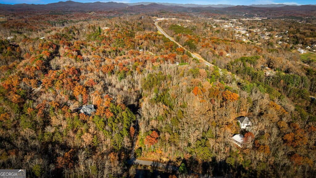 residential lot for sale at 5.97AC Bullen Gap Road, Blue Ridge, GA 30513 — photo 2