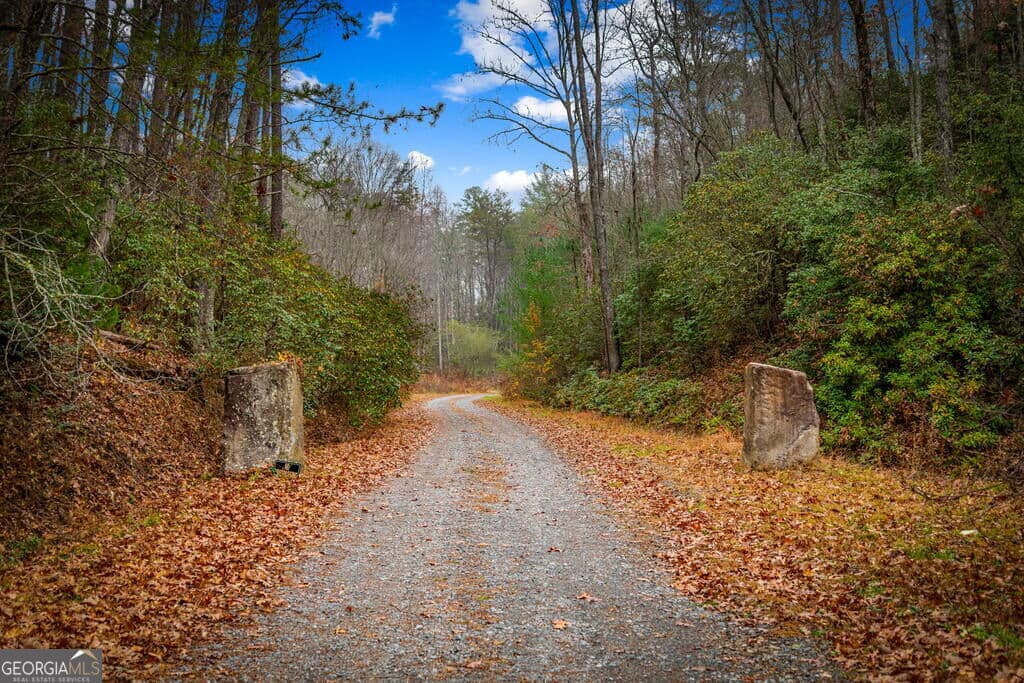 residential lot for sale at 5.97AC Bullen Gap Road, Blue Ridge, GA 30513 — photo 6
