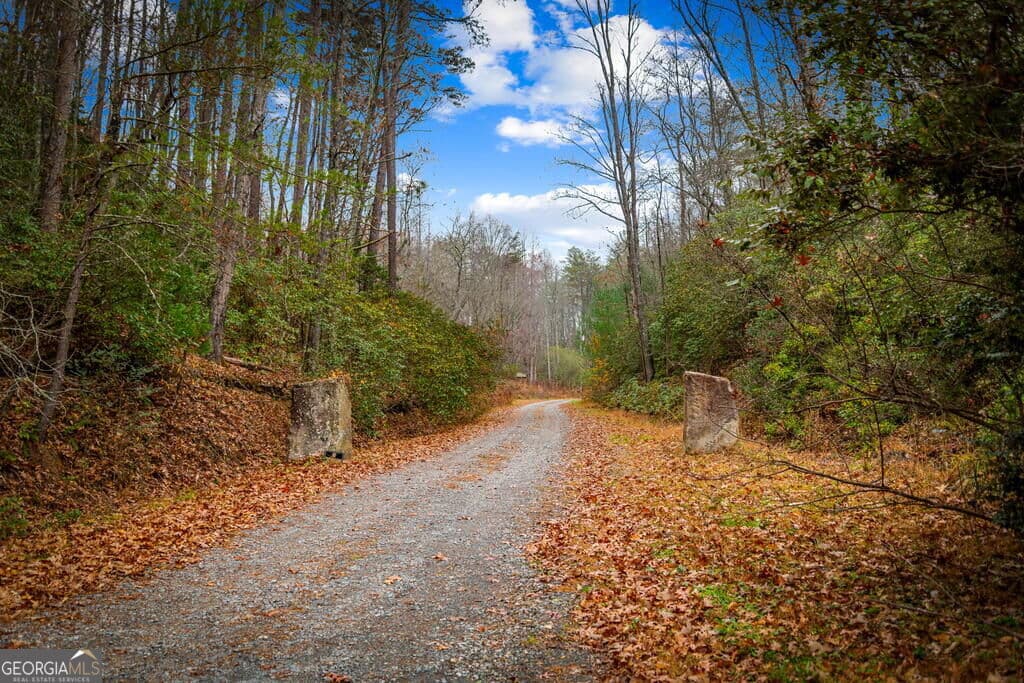 residential lot for sale at 5.97AC Bullen Gap Road, Blue Ridge, GA 30513 — photo 7