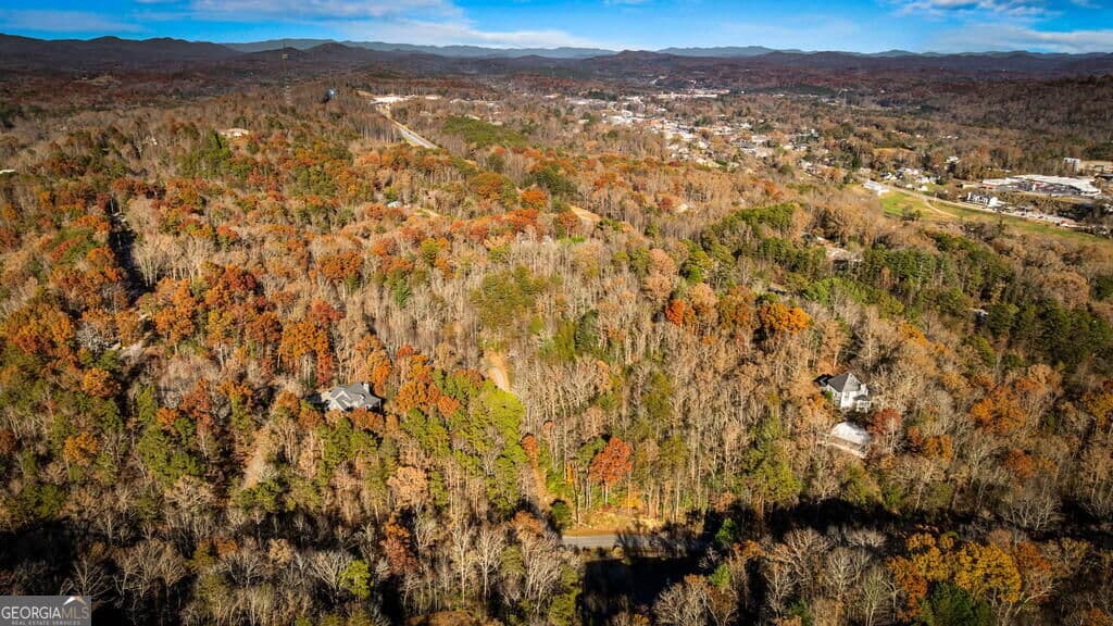 residential lot for sale at 5.97AC Bullen Gap Road, Blue Ridge, GA 30513 — photo 3