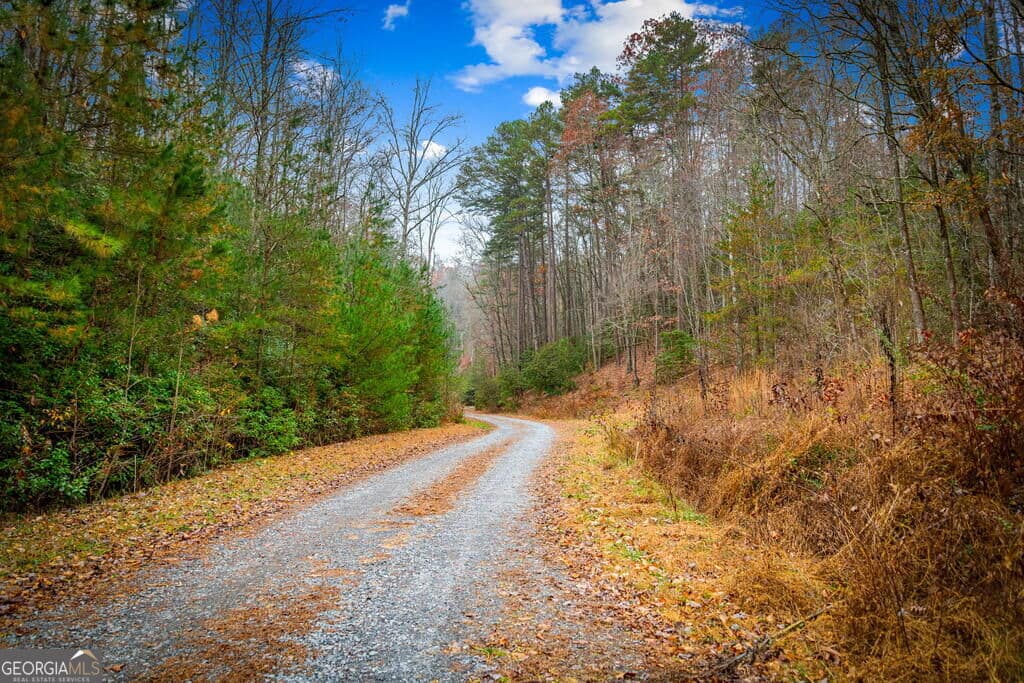 residential lot for sale at 5.97AC Bullen Gap Road, Blue Ridge, GA 30513 — photo 1 of 24