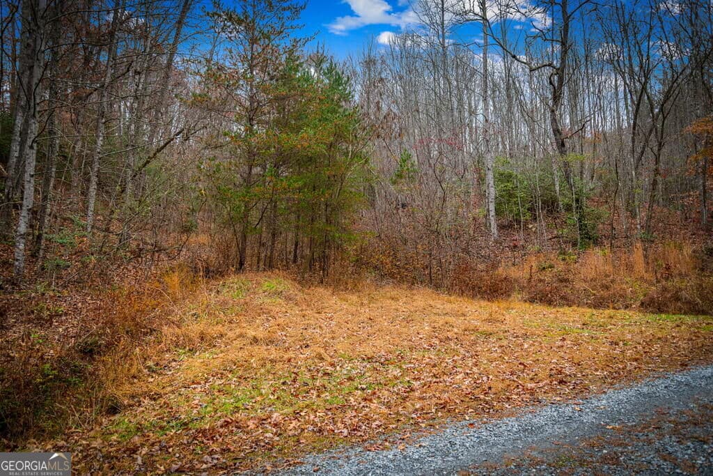 residential lot for sale at 5.97AC Bullen Gap Road, Blue Ridge, GA 30513 — photo 9
