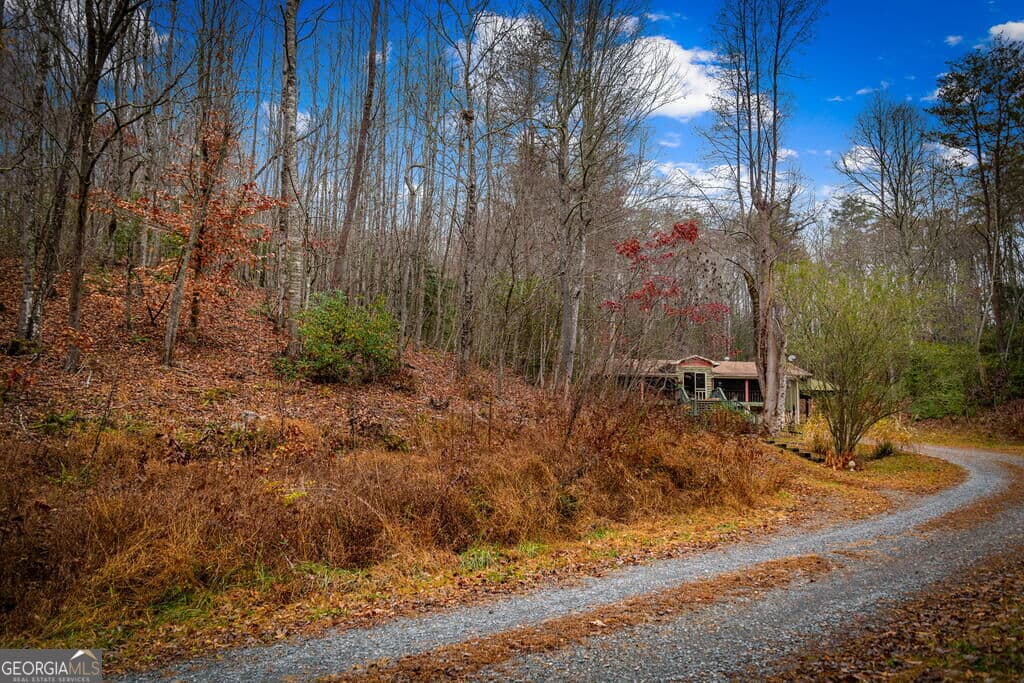 residential lot for sale at 5.97AC Bullen Gap Road, Blue Ridge, GA 30513 — photo 10