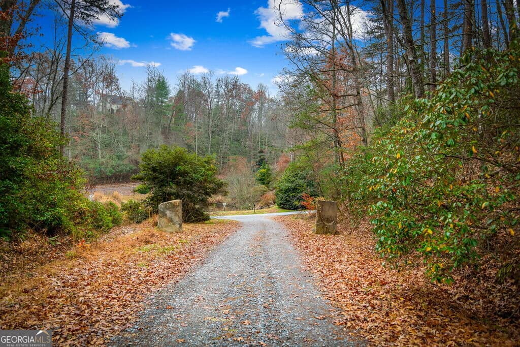 residential lot for sale at 5.97AC Bullen Gap Road, Blue Ridge, GA 30513 — photo 4