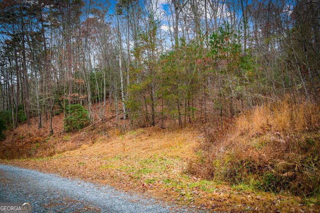 residential lot for sale at 5.97AC Bullen Gap Road, Blue Ridge, GA 30513 — photo 8