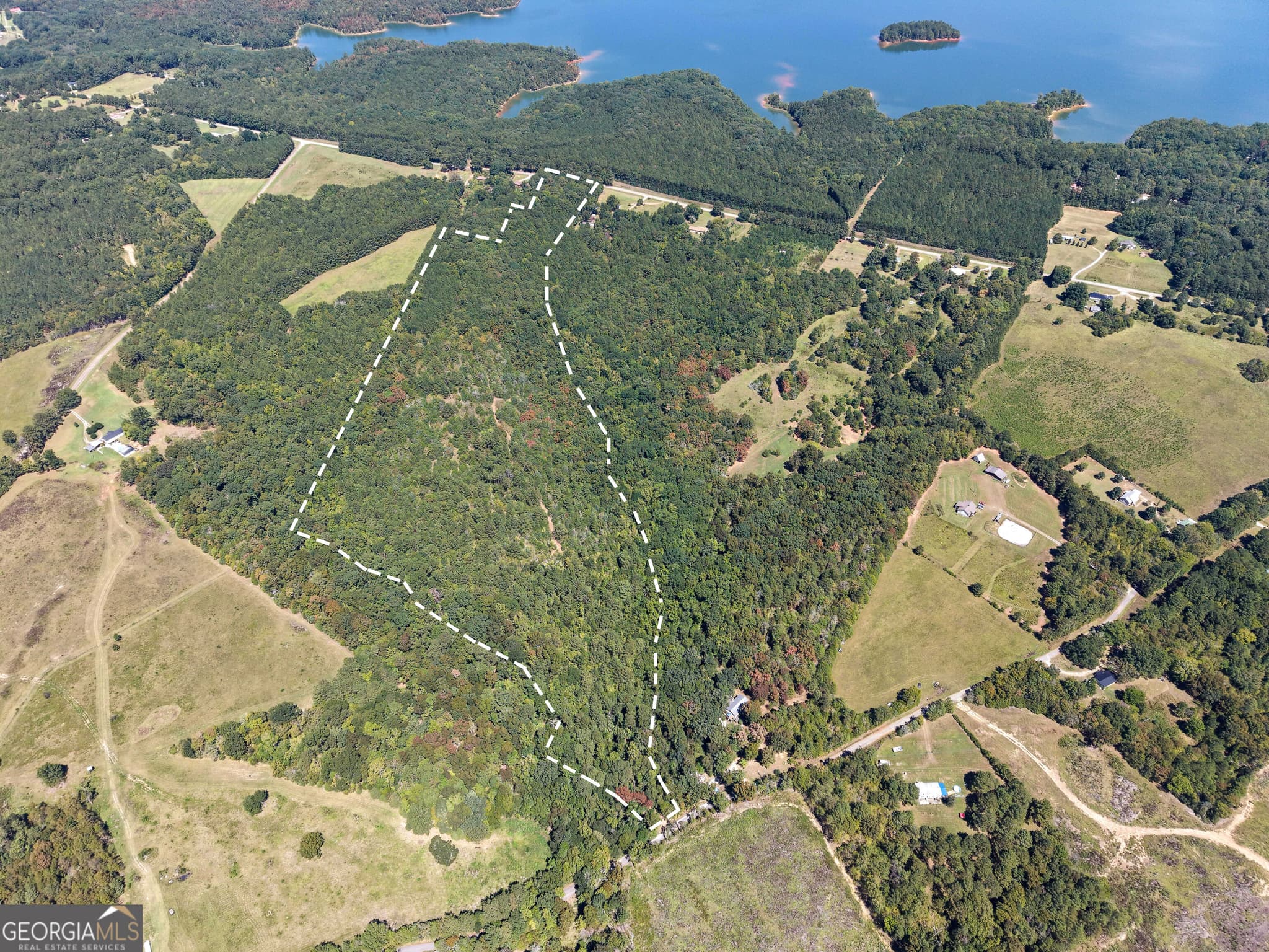 agriculture for sale at 1419 Bobby Brown State Park Road, Elberton, GA 30635 — photo 2
