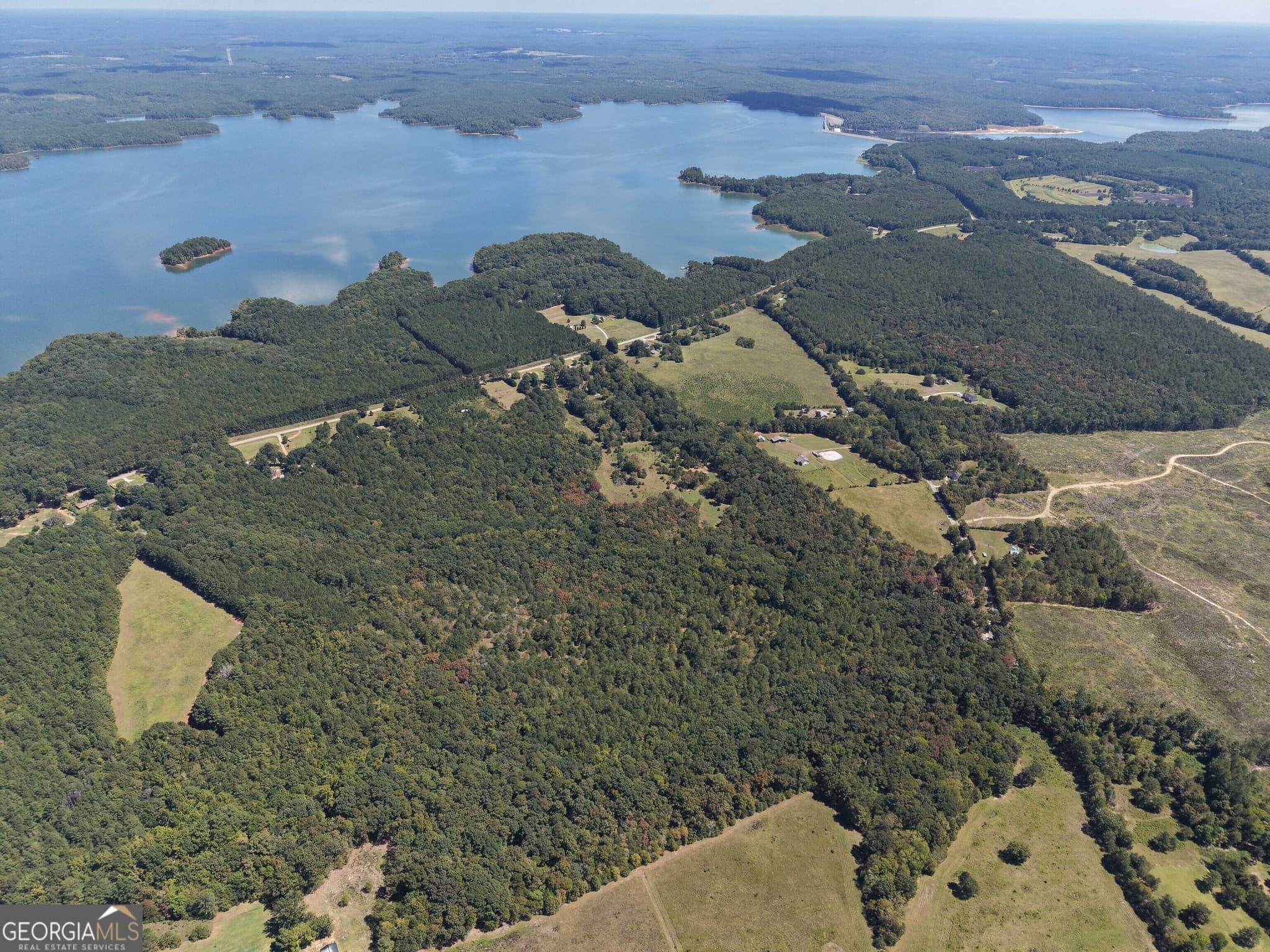 agriculture for sale at 1419 Bobby Brown State Park Road, Elberton, GA 30635 — photo 5