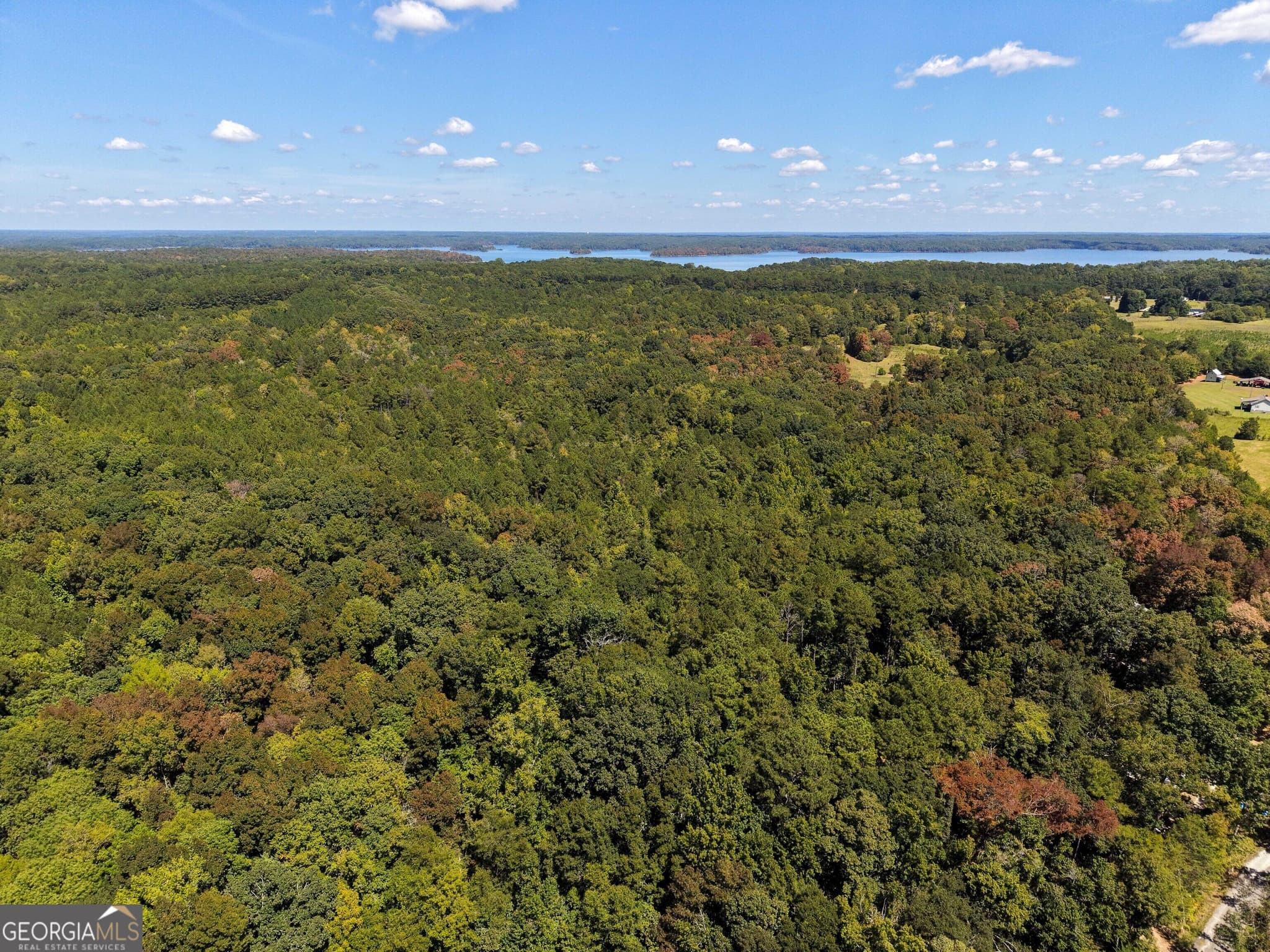 agriculture for sale at 1419 Bobby Brown State Park Road, Elberton, GA 30635 — photo 9