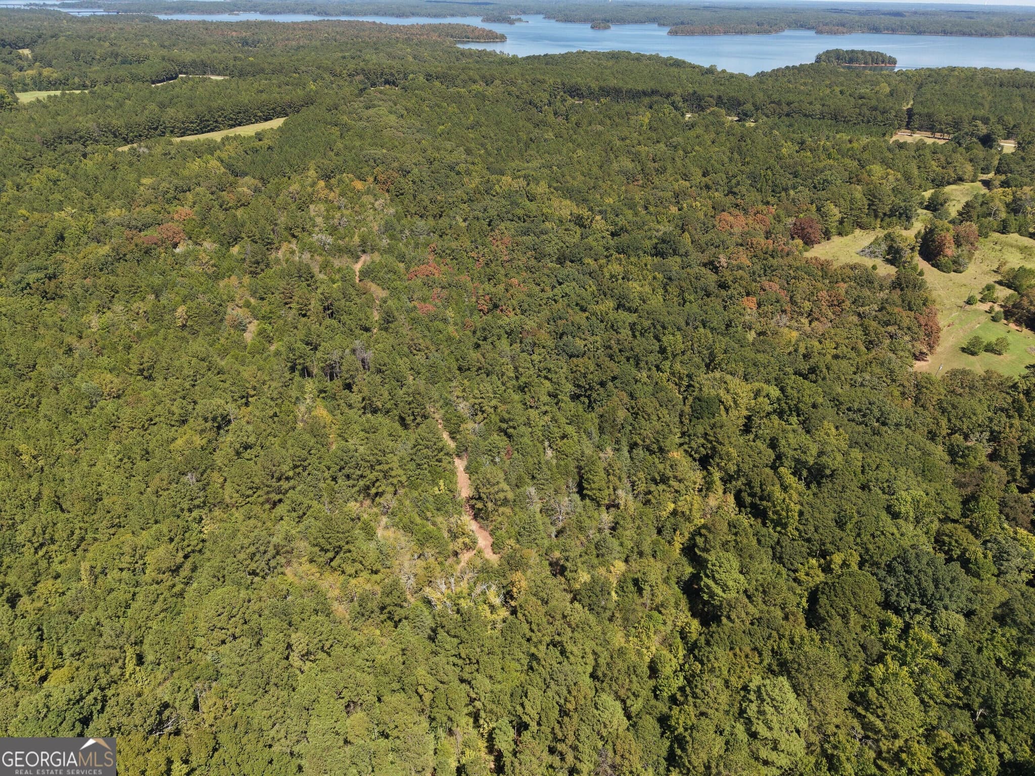 agriculture for sale at 1419 Bobby Brown State Park Road, Elberton, GA 30635 — photo 10