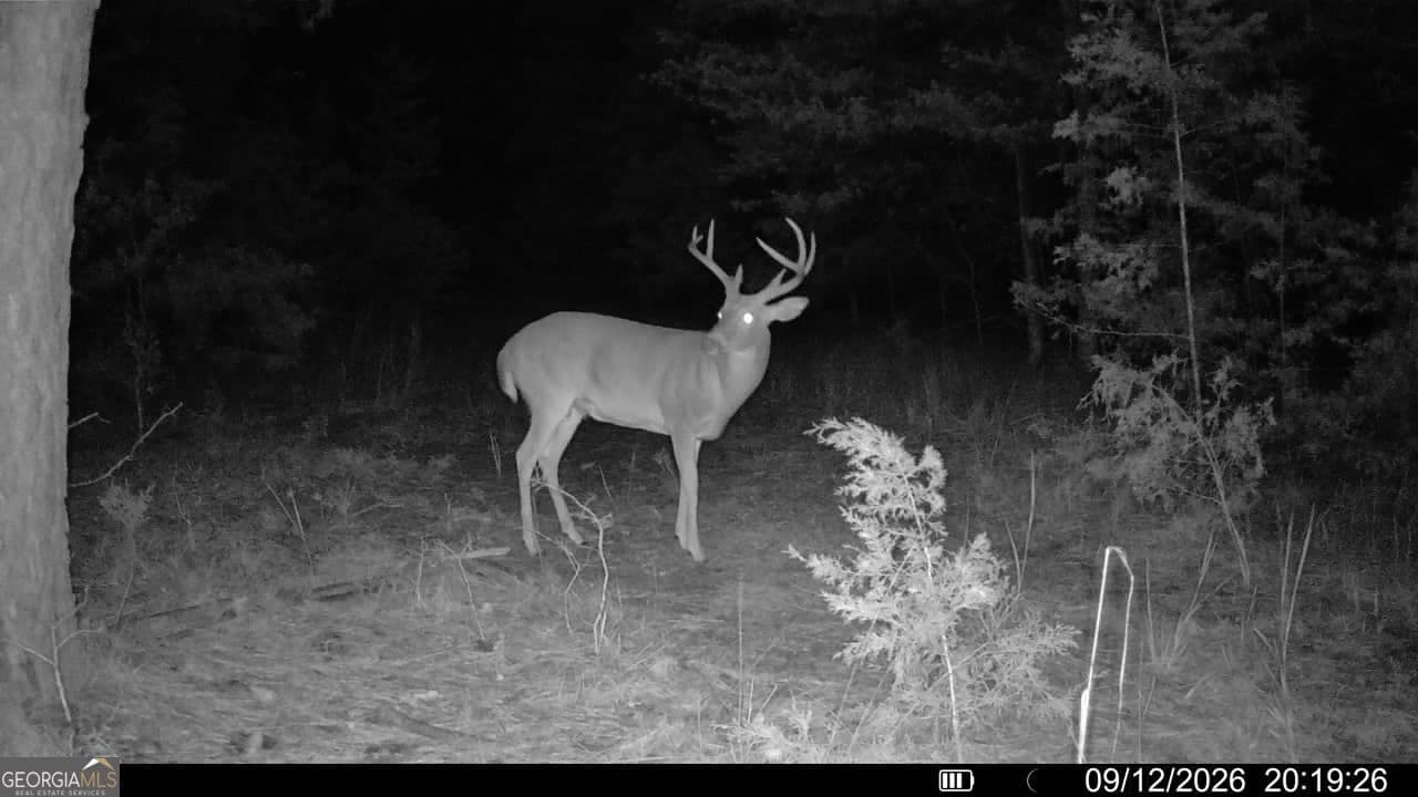 agriculture for sale at 1419 Bobby Brown State Park Road, Elberton, GA 30635 — photo 8