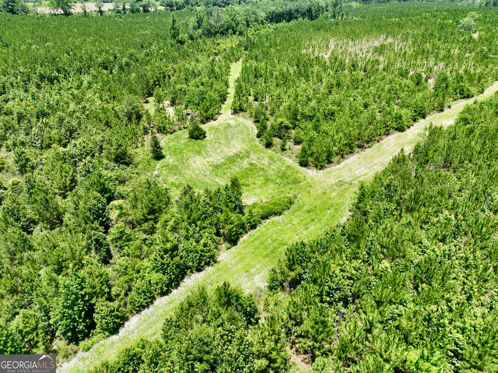 agriculture for sale at 0 W. River Road, Rhine, GA 31077 — photo 2