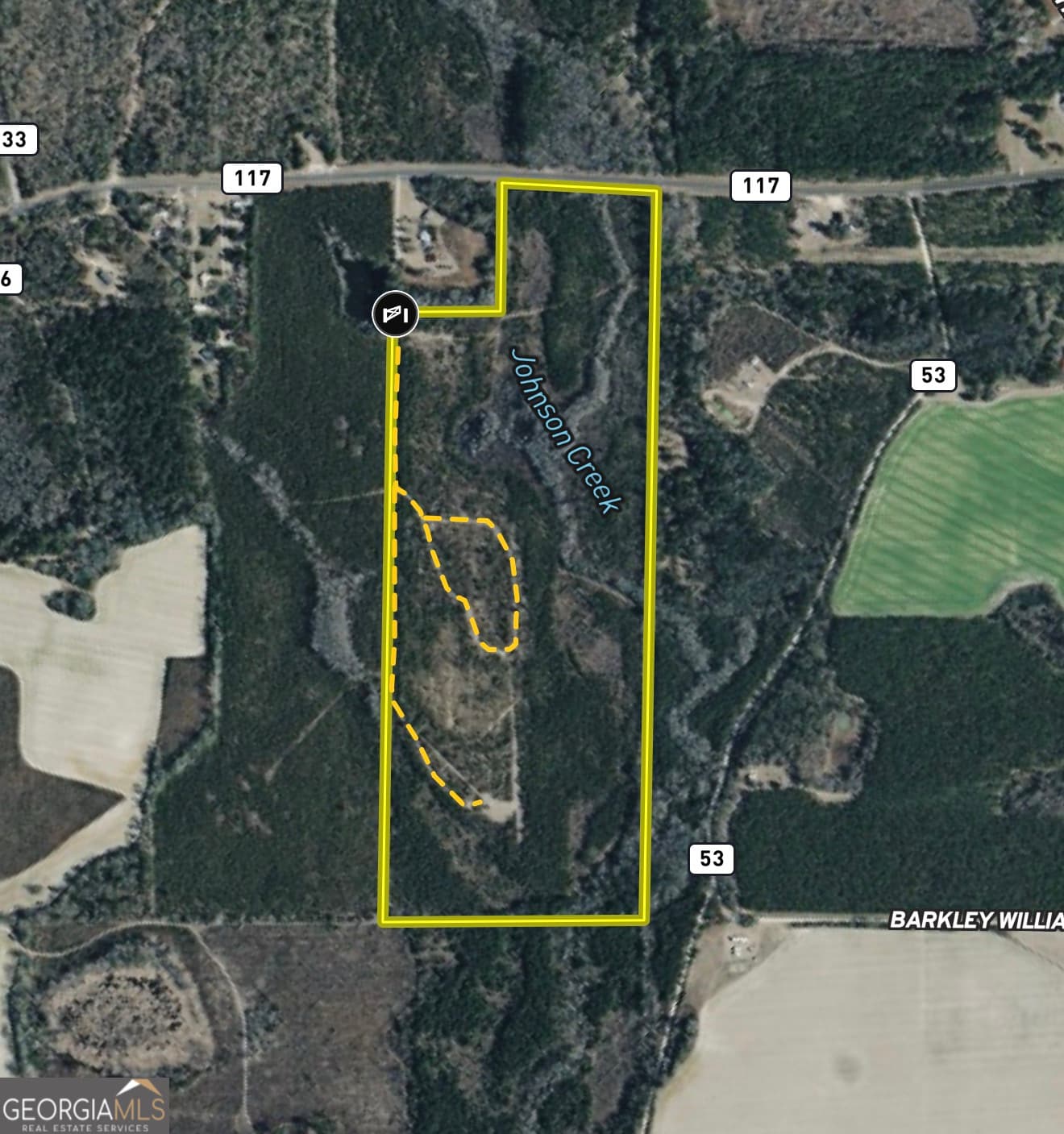 agriculture for sale at 0 W. River Road, Rhine, GA 31077 — photo 6
