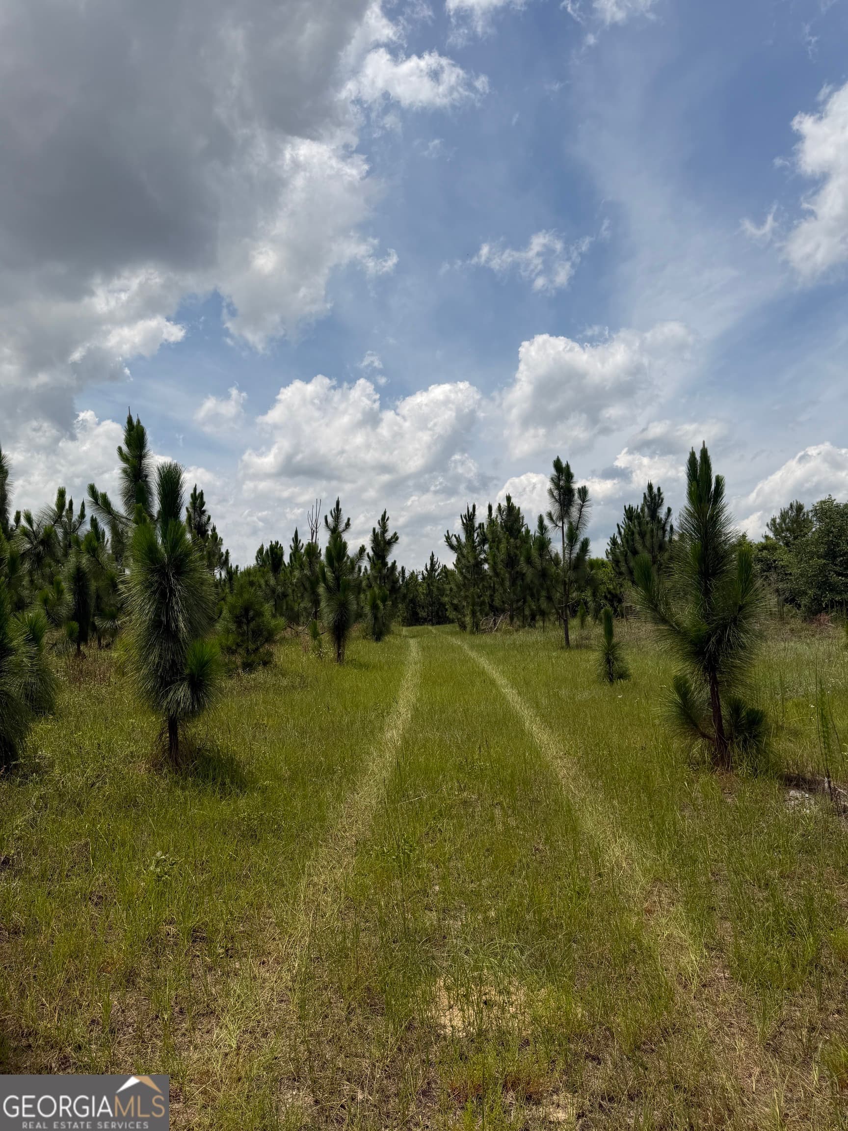 agriculture for sale at 0 W. River Road, Rhine, GA 31077 — photo 3