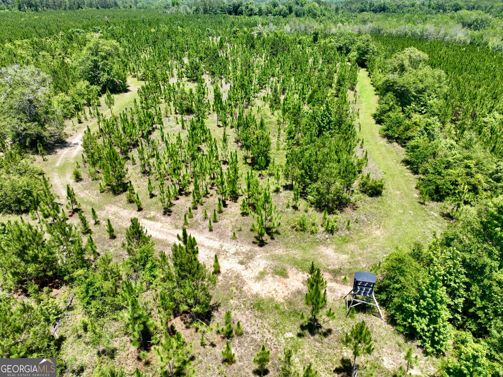 agriculture for sale at 0 W. River Road, Rhine, GA 31077