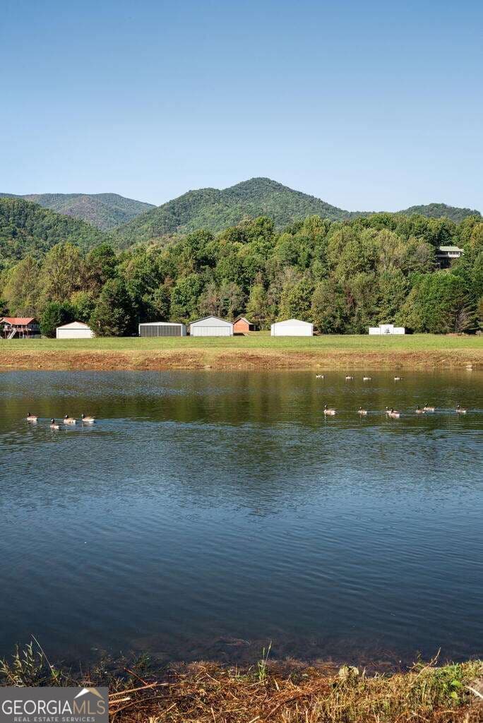6 bedroom, 4.5 bathroom cabin,mixed use for sale at 360 Serenity Lane, Hayesville, NC 28904 — photo 4