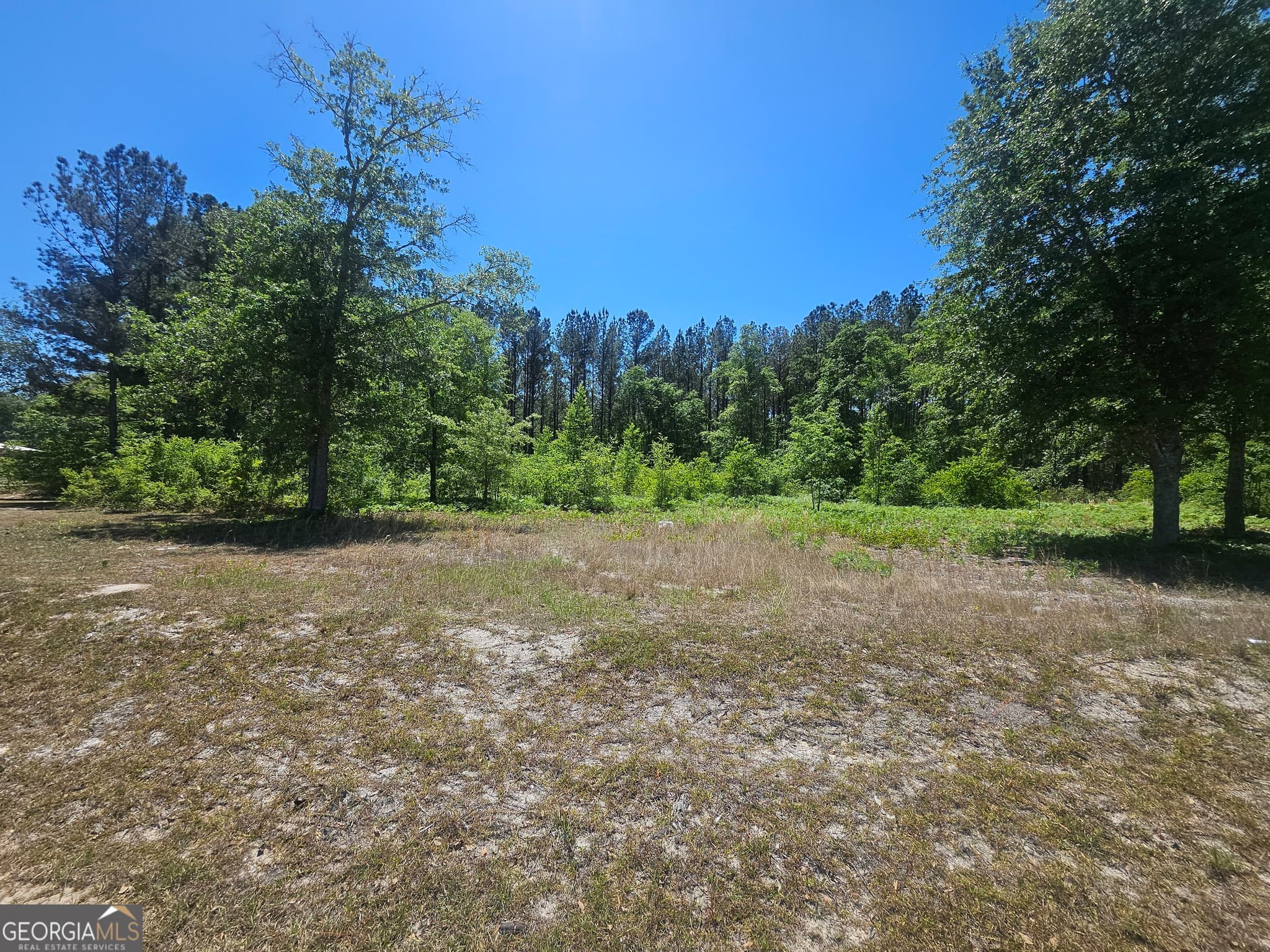 residential lot for sale at 0 Edgar Lane Road, Millen, GA 30442 — photo 2
