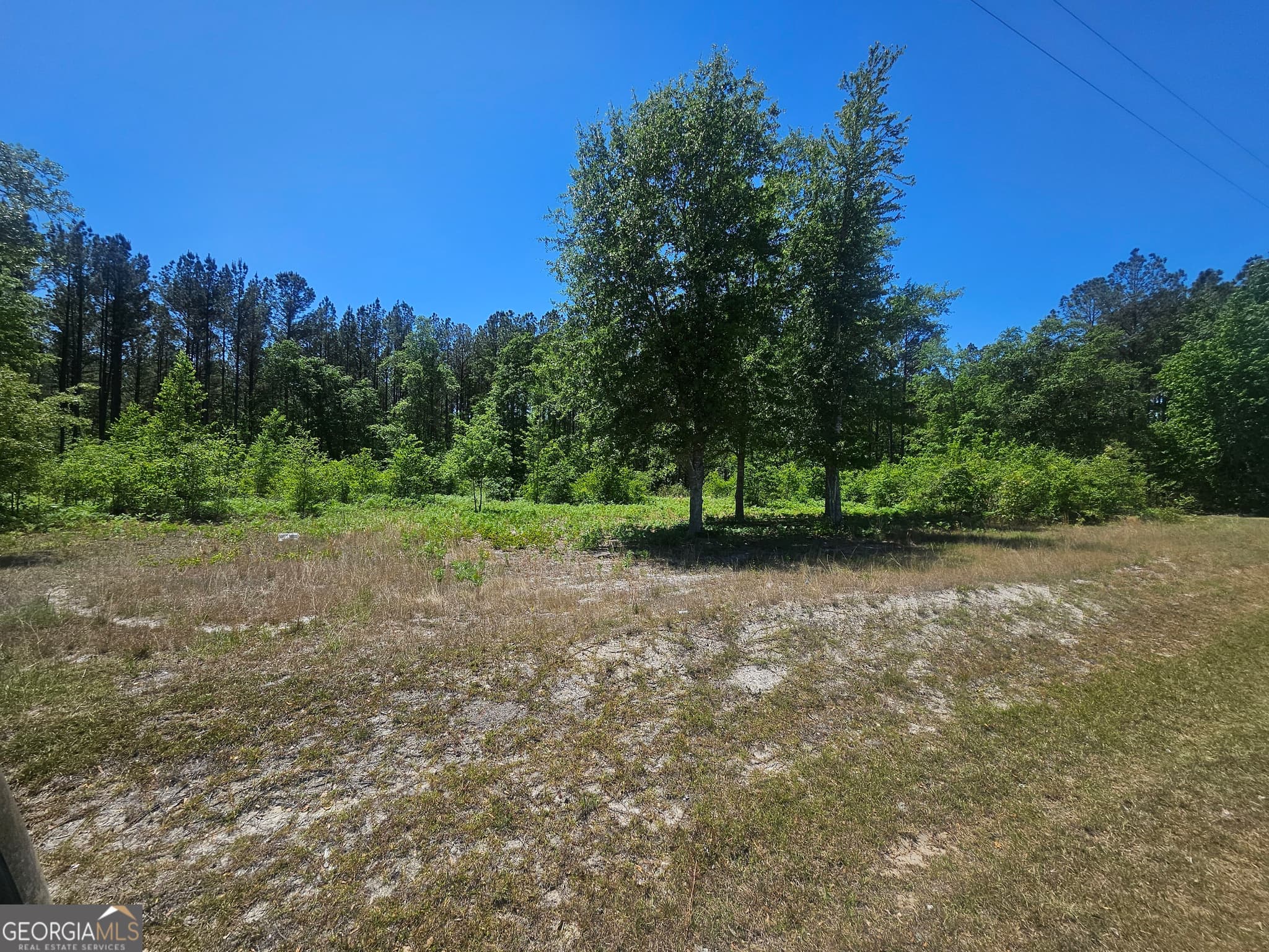 residential lot for sale at 0 Edgar Lane Road, Millen, GA 30442 — photo 6