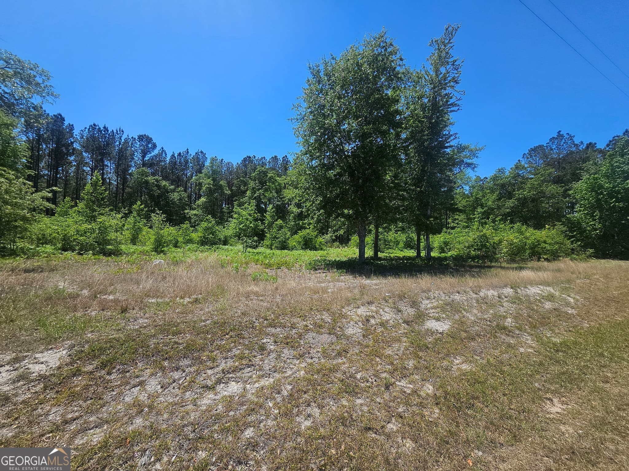 residential lot for sale at 0 Edgar Lane Road, Millen, GA 30442 — photo 3