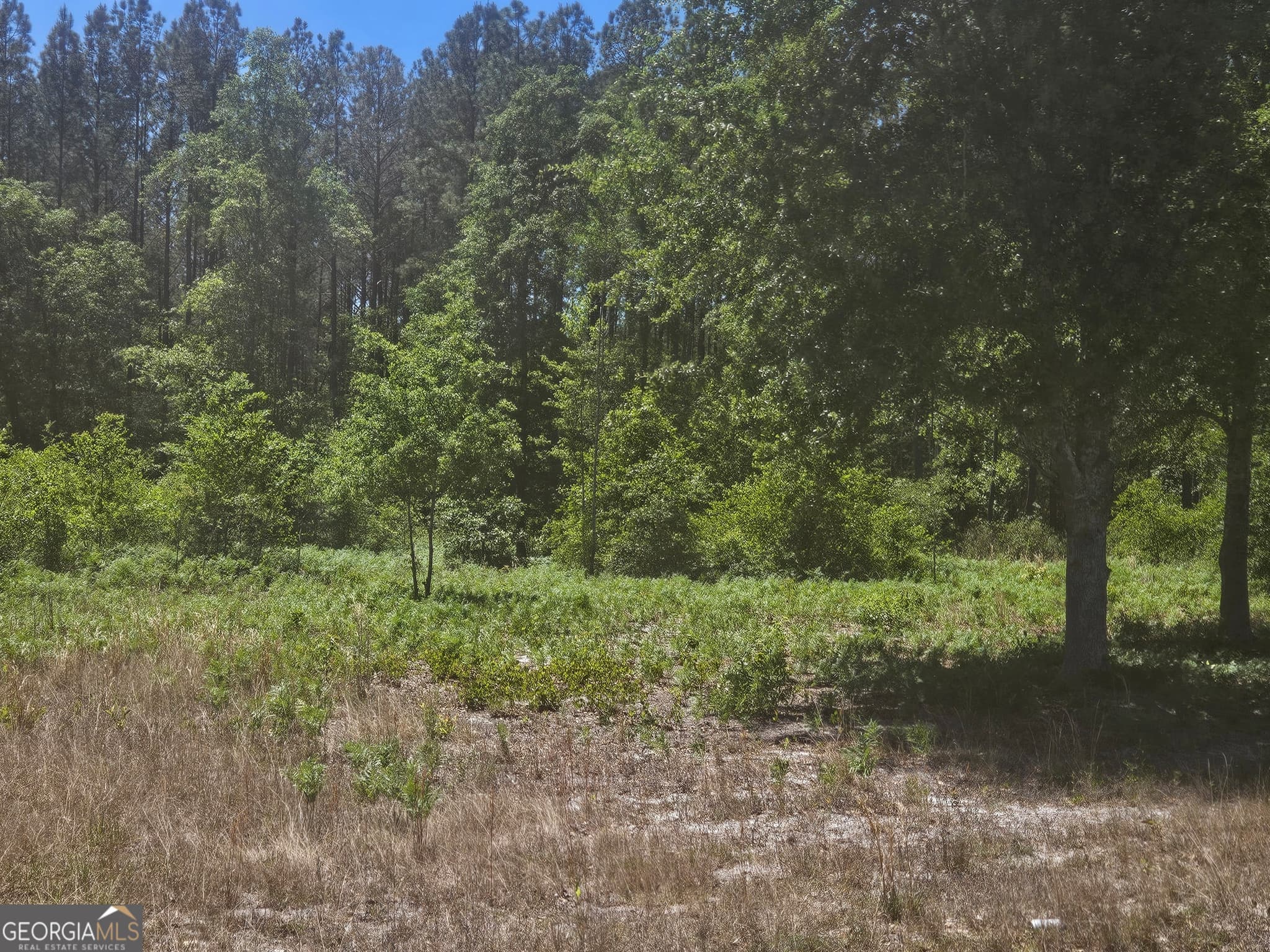 residential lot for sale at 0 Edgar Lane Road, Millen, GA 30442