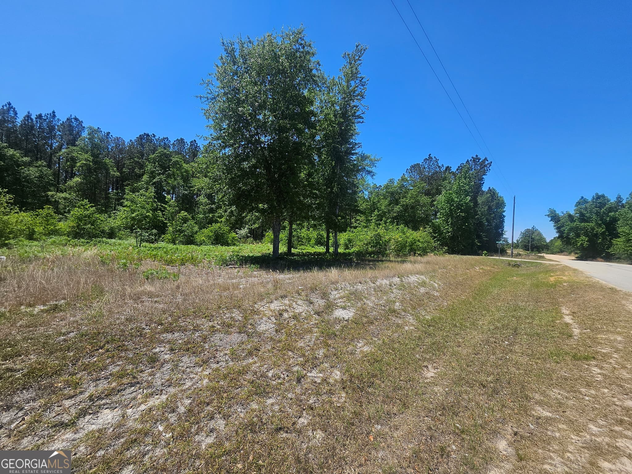 residential lot for sale at 0 Edgar Lane Road, Millen, GA 30442 — photo 4