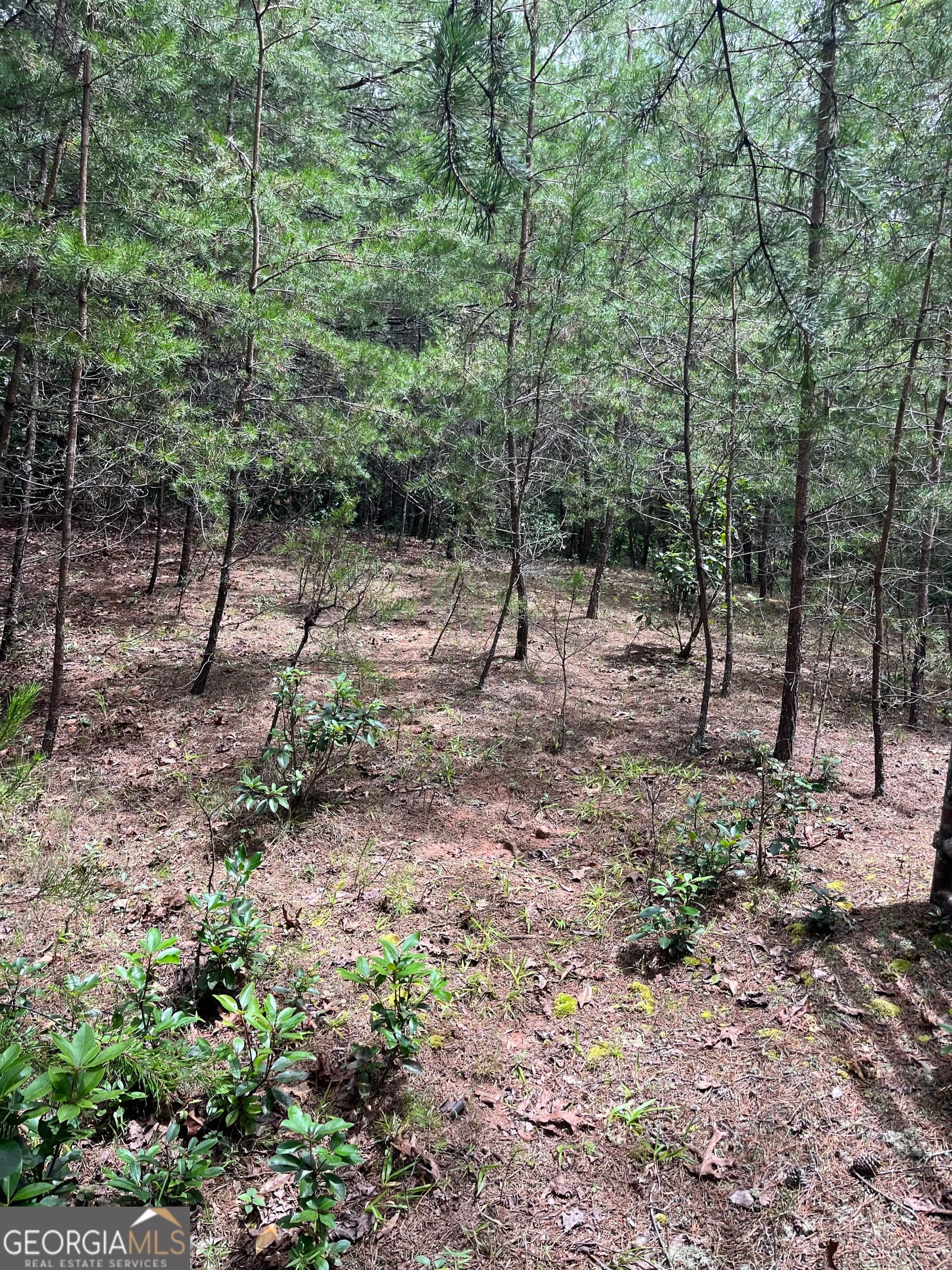 residential lot for sale at 0 Windy Ridge, Otto, NC 28763 — photo 2