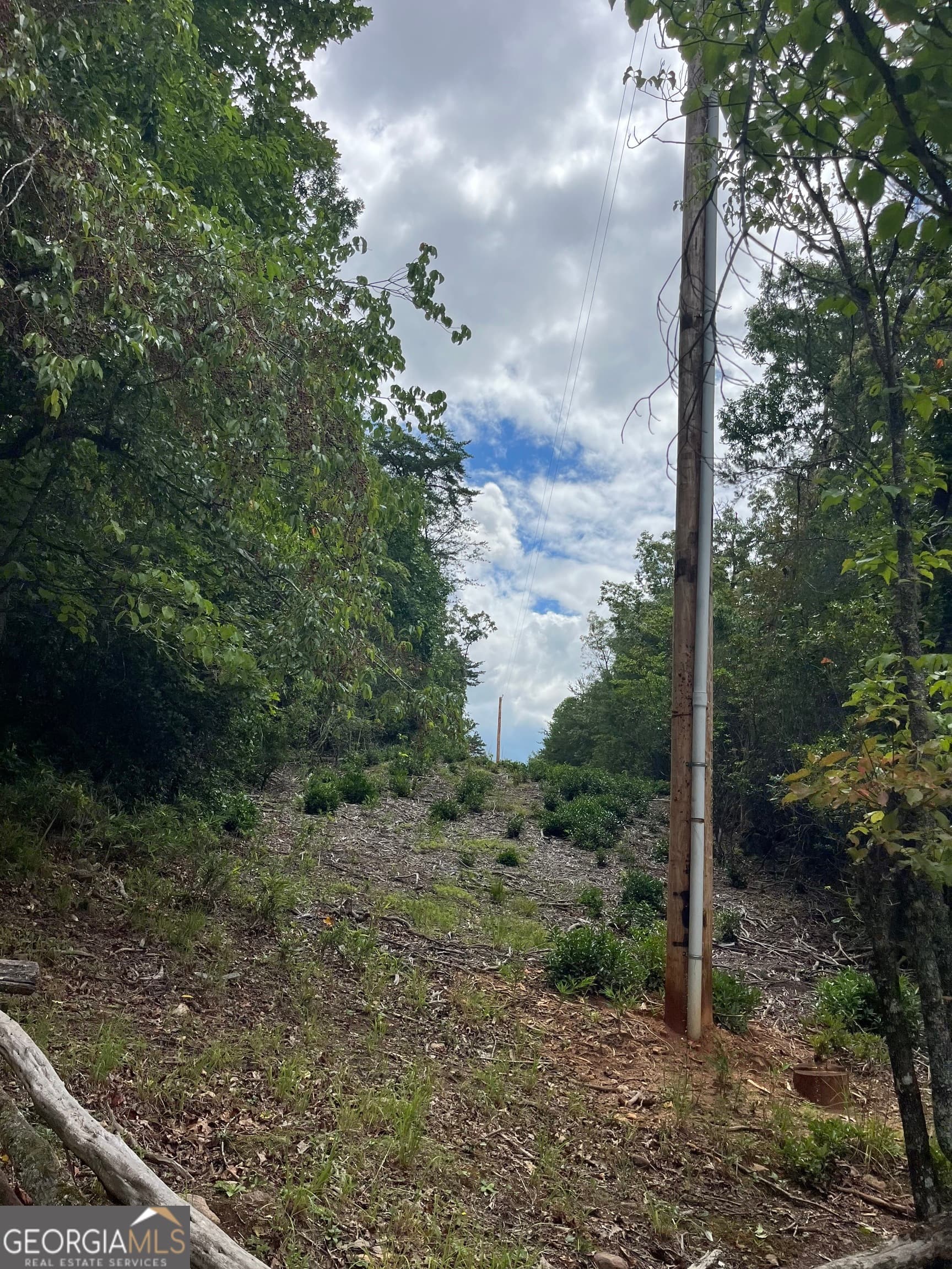 residential lot for sale at 0 Windy Ridge, Otto, NC 28763 — photo 6