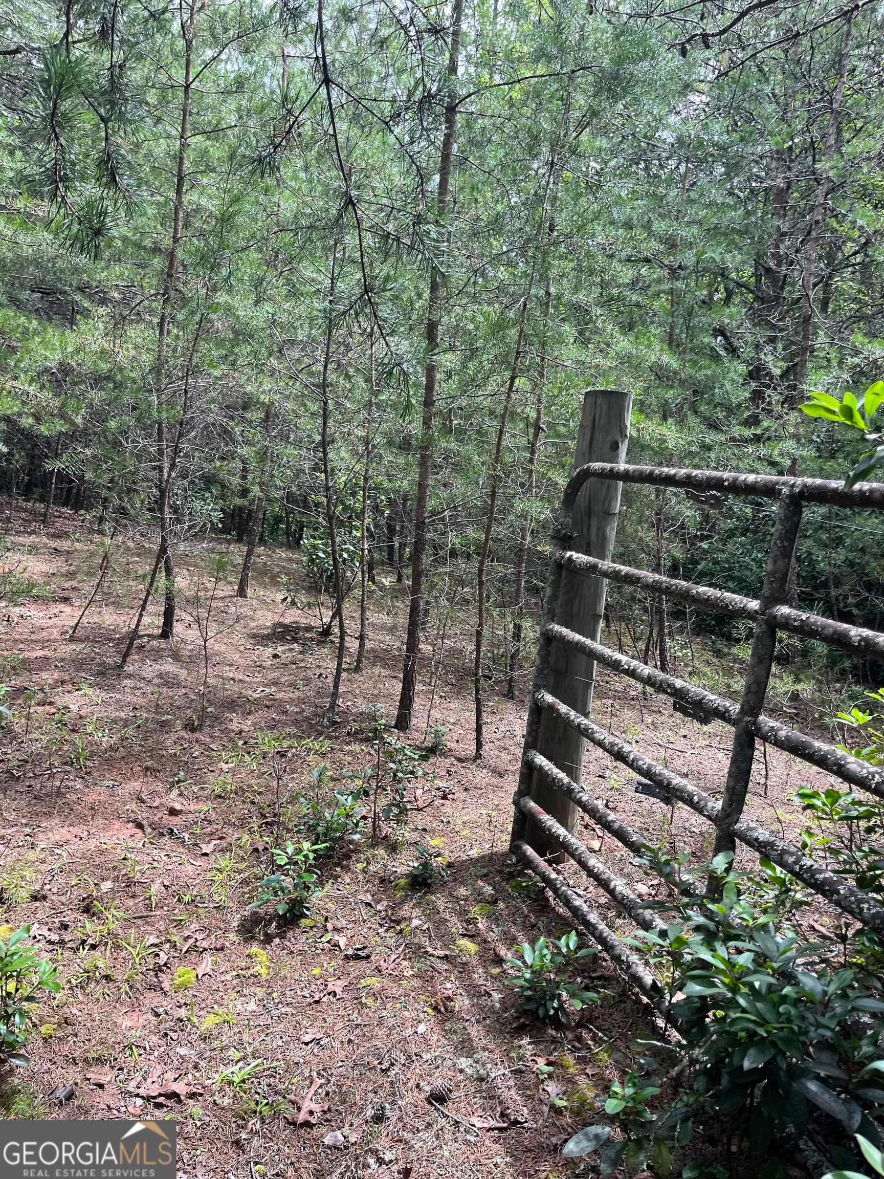residential lot for sale at 0 Windy Ridge, Otto, NC 28763 — photo 1 of 6