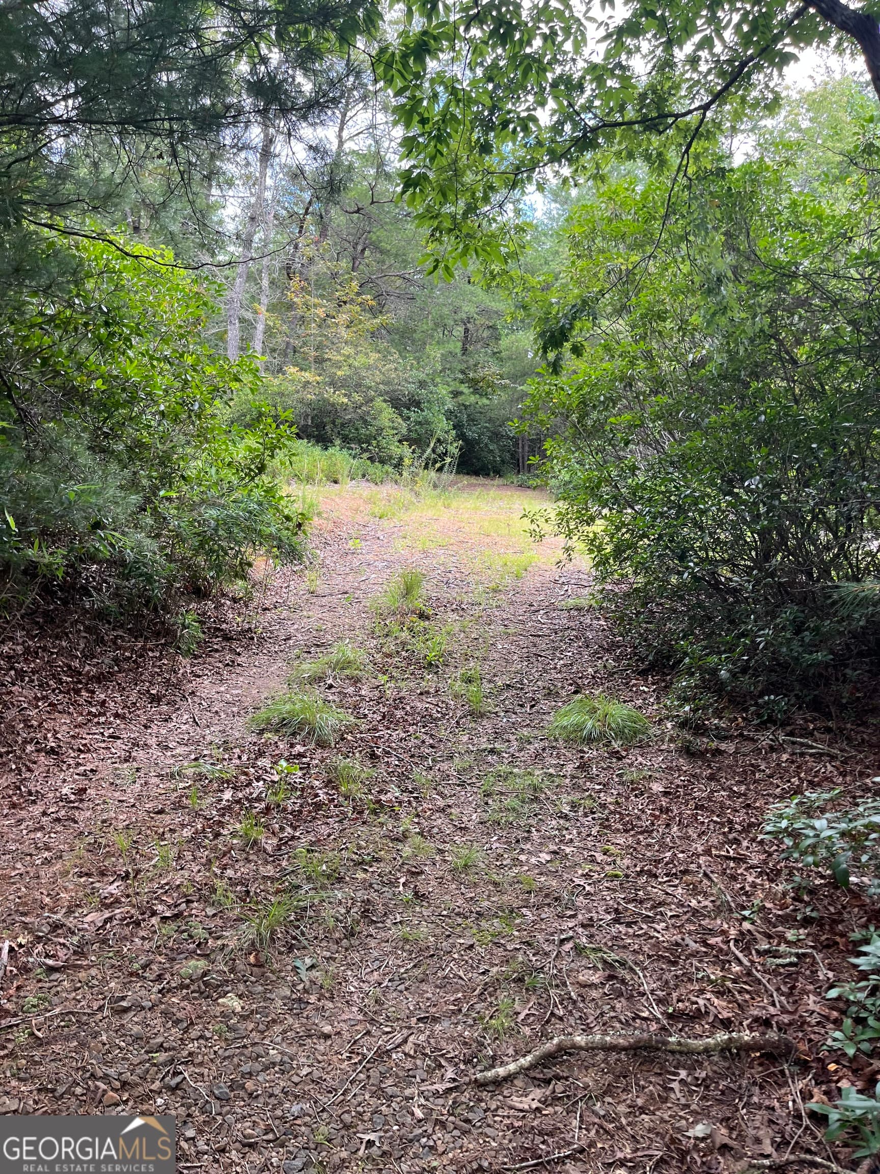 residential lot for sale at 0 Windy Ridge, Otto, NC 28763 — photo 5