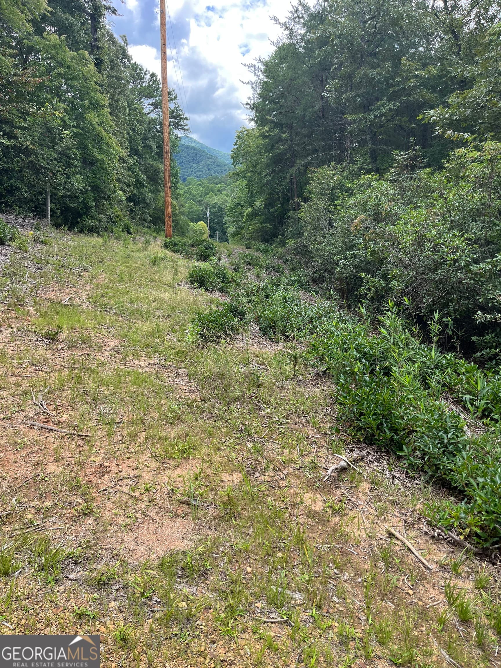 residential lot for sale at 0 Windy Ridge, Otto, NC 28763 — photo 4