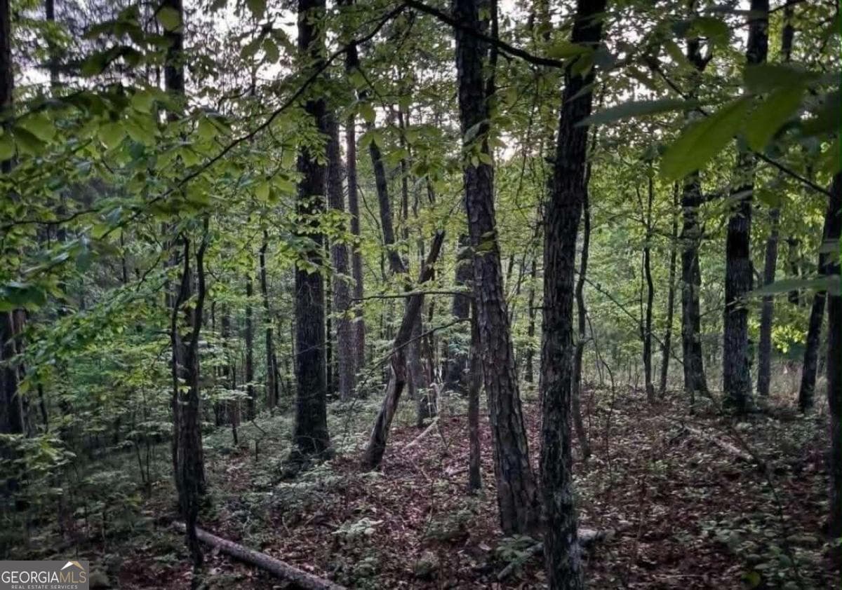 unimproved land for sale at 562 Neptune Circle, Ranger, GA 30734 — photo 2