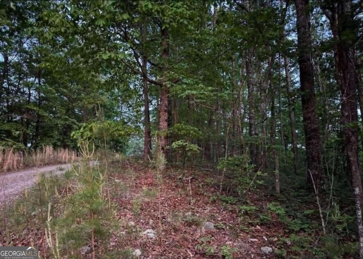 unimproved land for sale at 562 Neptune Circle, Ranger, GA 30734 — photo 6