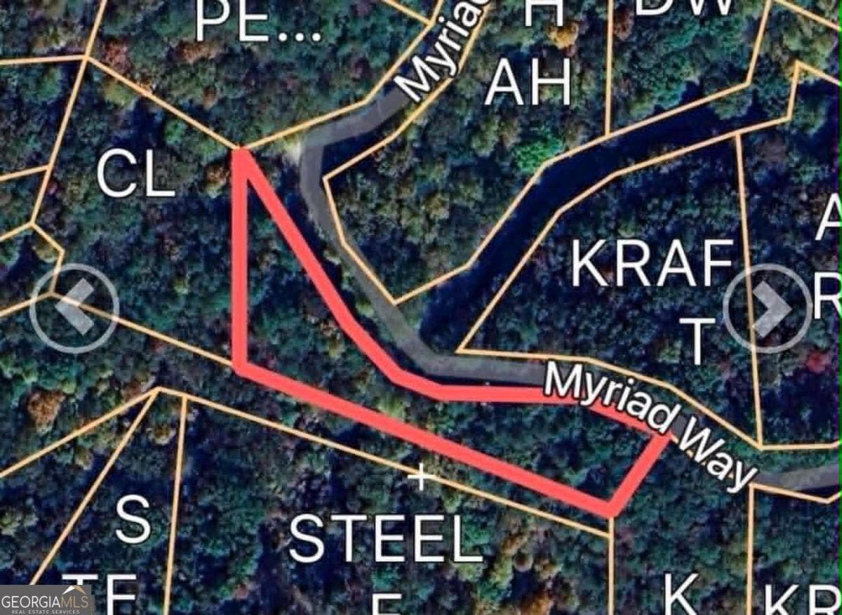 unimproved land for sale at 562 Neptune Circle, Ranger, GA 30734 — photo 3