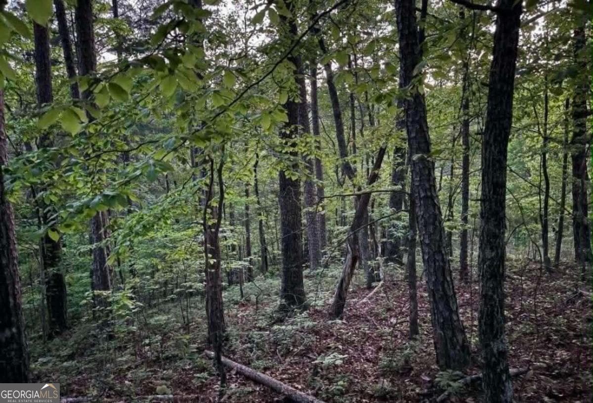 unimproved land for sale at 562 Neptune Circle, Ranger, GA 30734 — photo 1 of 18