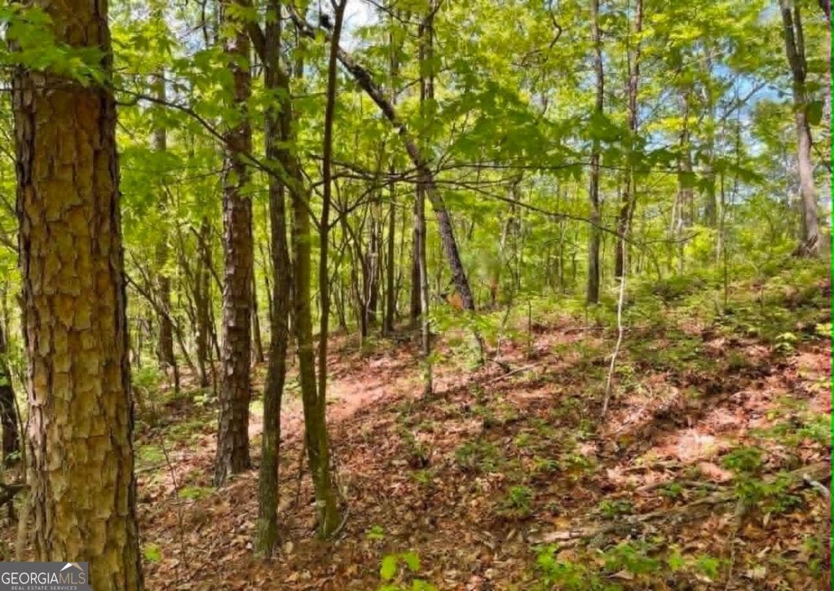 unimproved land for sale at 562 Neptune Circle, Ranger, GA 30734 — photo 5