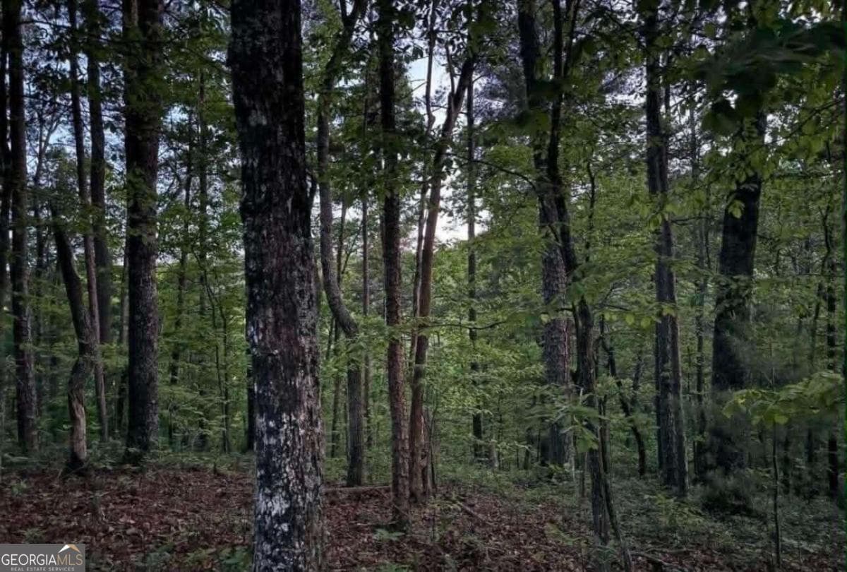 unimproved land for sale at 562 Neptune Circle, Ranger, GA 30734 — photo 4