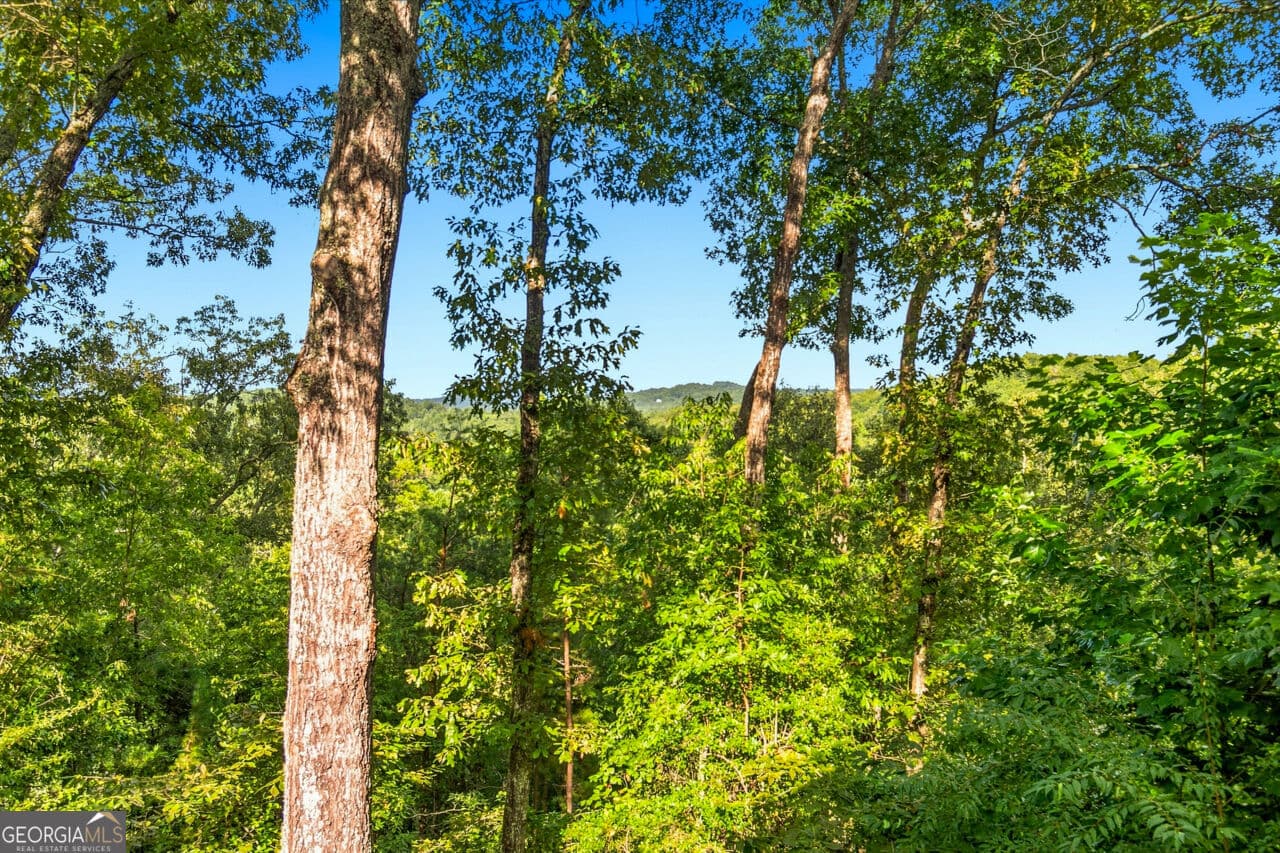 4 bedroom, 4 bathroom, 2,536 sq ft cabin,single family residence for sale at 142 Oak Hill Drive, Mineral Bluff, GA 30559 — photo 4