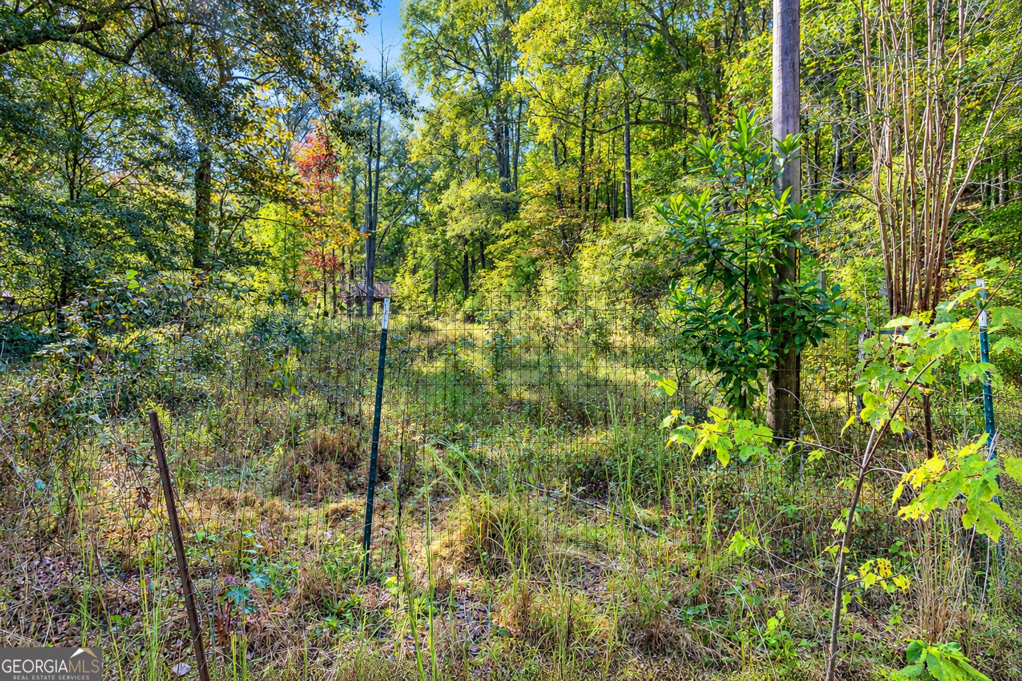 unimproved land for sale at 0 Wax Road, Silver Creek, GA 30161 — photo 2