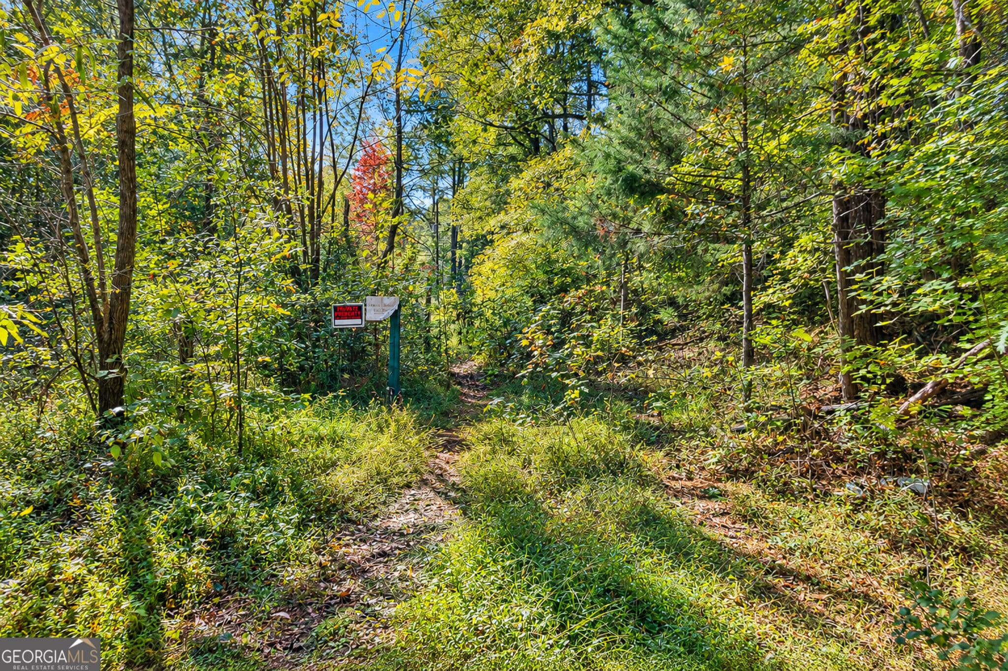 unimproved land for sale at 0 Wax Road, Silver Creek, GA 30161 — photo 5