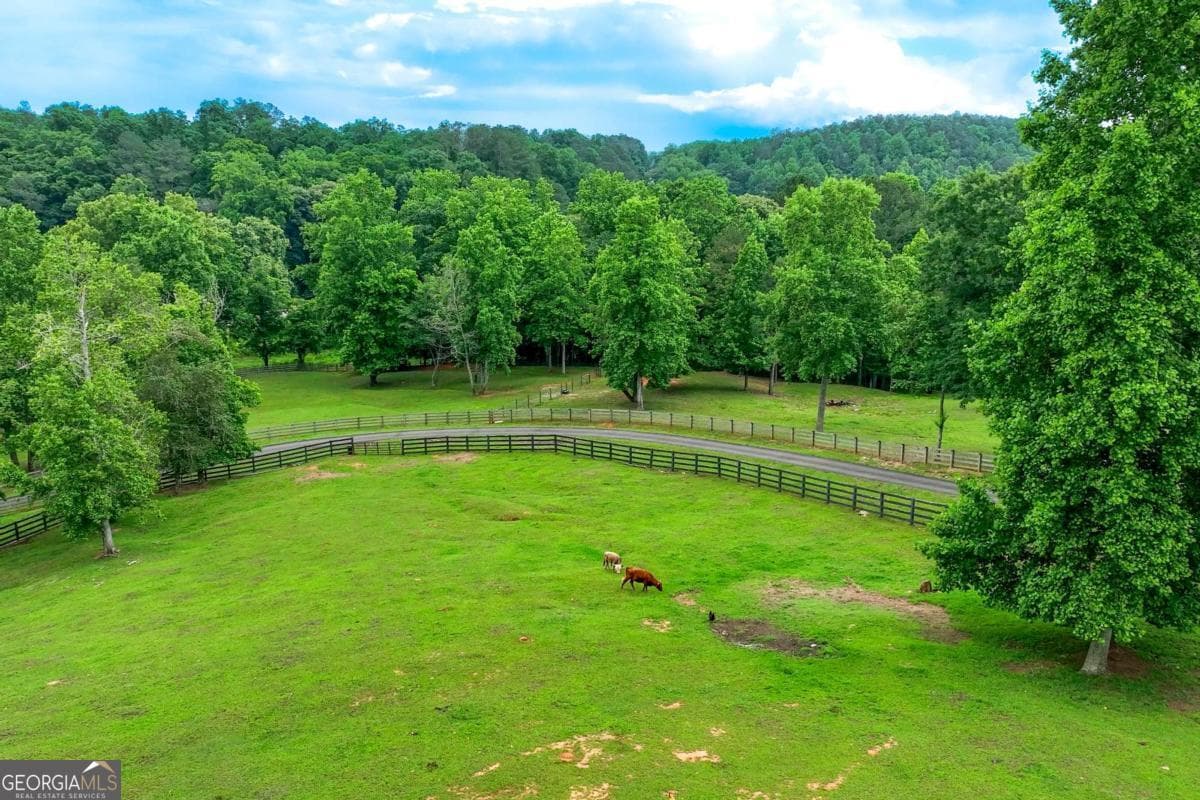 5 bedroom, 3.5 bathroom, 5,810 sq ft single family residence for sale at 7945 Reinhardt College Parkway, Waleska, GA 30183 — photo 7