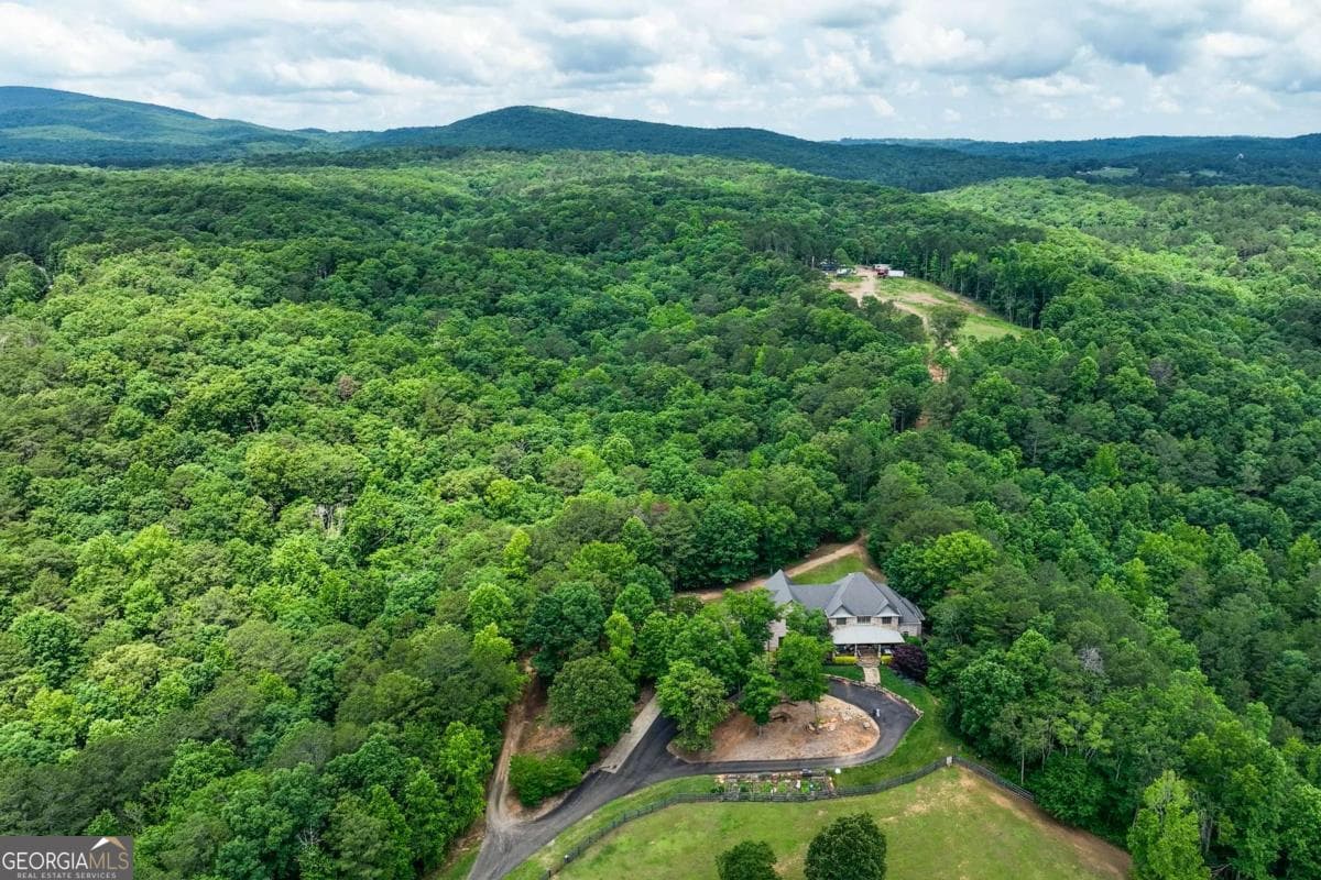 5 bedroom, 3.5 bathroom, 5,810 sq ft single family residence for sale at 7945 Reinhardt College Parkway, Waleska, GA 30183 — photo 4
