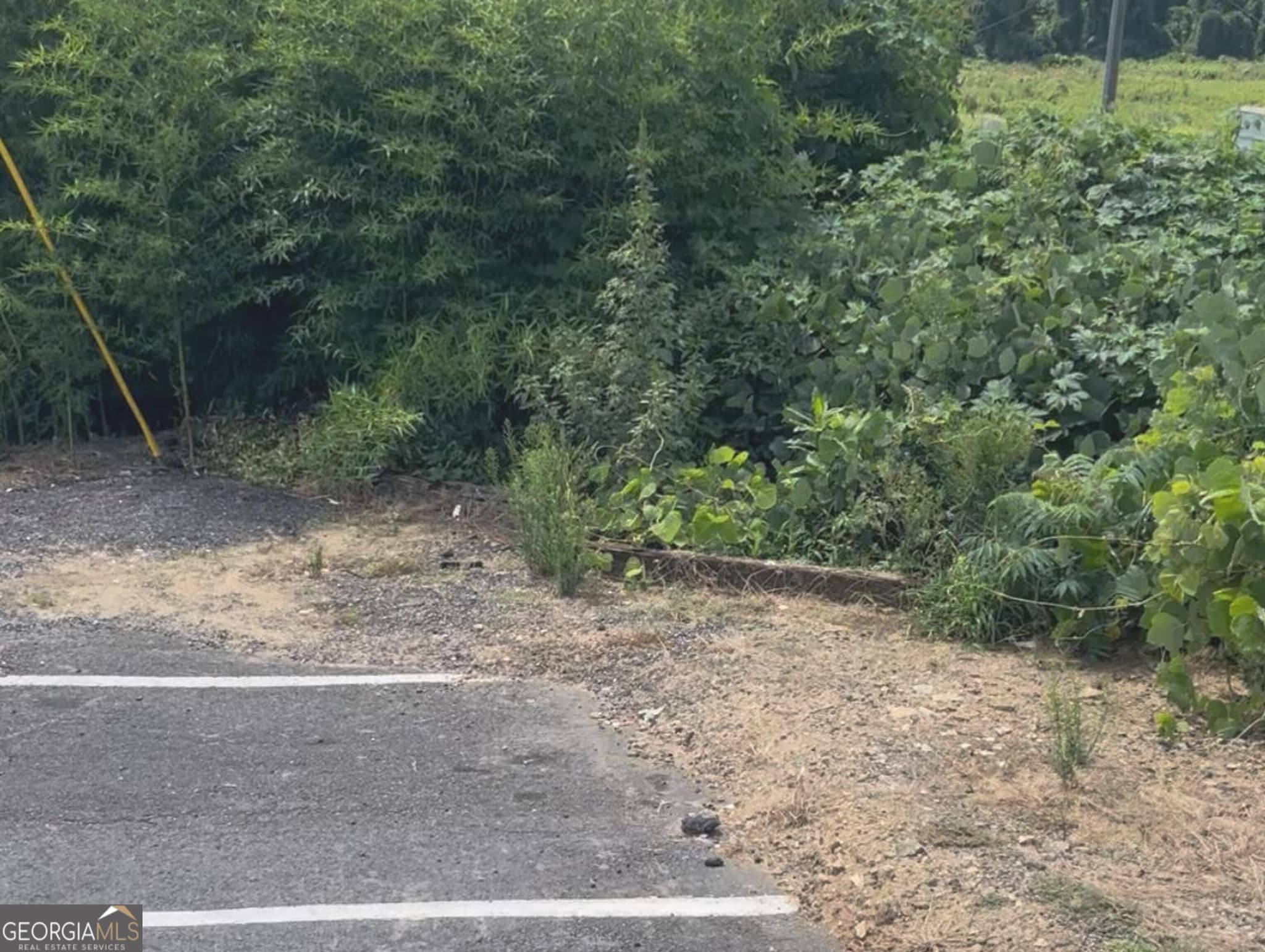 residential lot for sale at 0 Cheshire Bridge Road, Atlanta, GA 30324 — photo 3