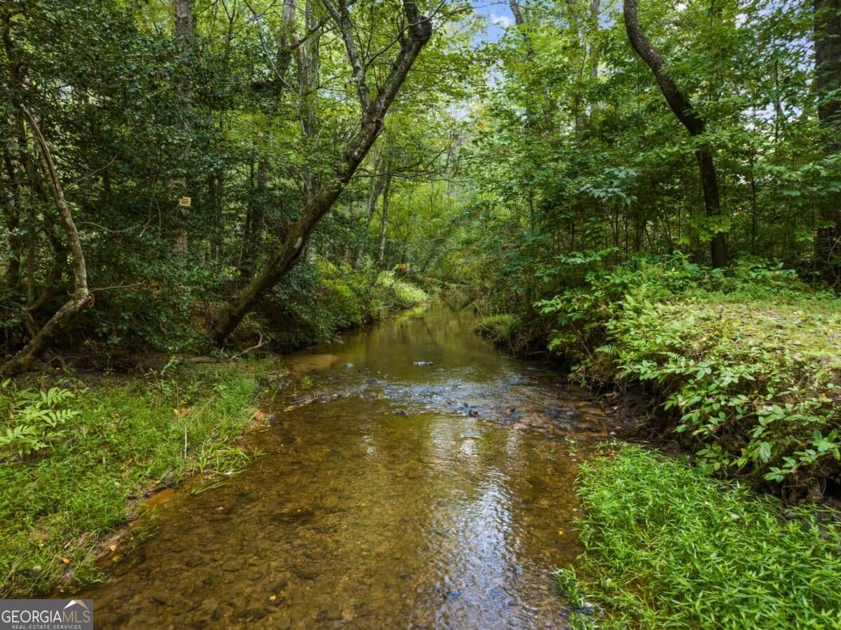3 bedroom, 3.5 bathroom, 2,960 sq ft cabin,single family residence for sale at 123 Lone Oak Drive, Blue Ridge, GA 30513 — photo 4