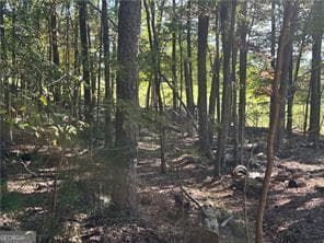 residential lot for sale at LT1351 Willow Terrace 1351, Jasper, GA 30143 — photo 2