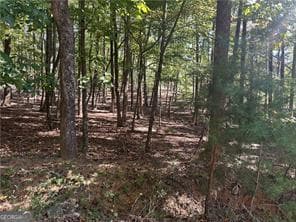 residential lot for sale at LT1351 Willow Terrace 1351, Jasper, GA 30143 — photo 1 of 2