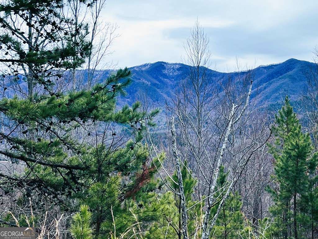residential lot for sale at 1441 Valley View Heights Lane, Andrews, NC 28901 — photo 2