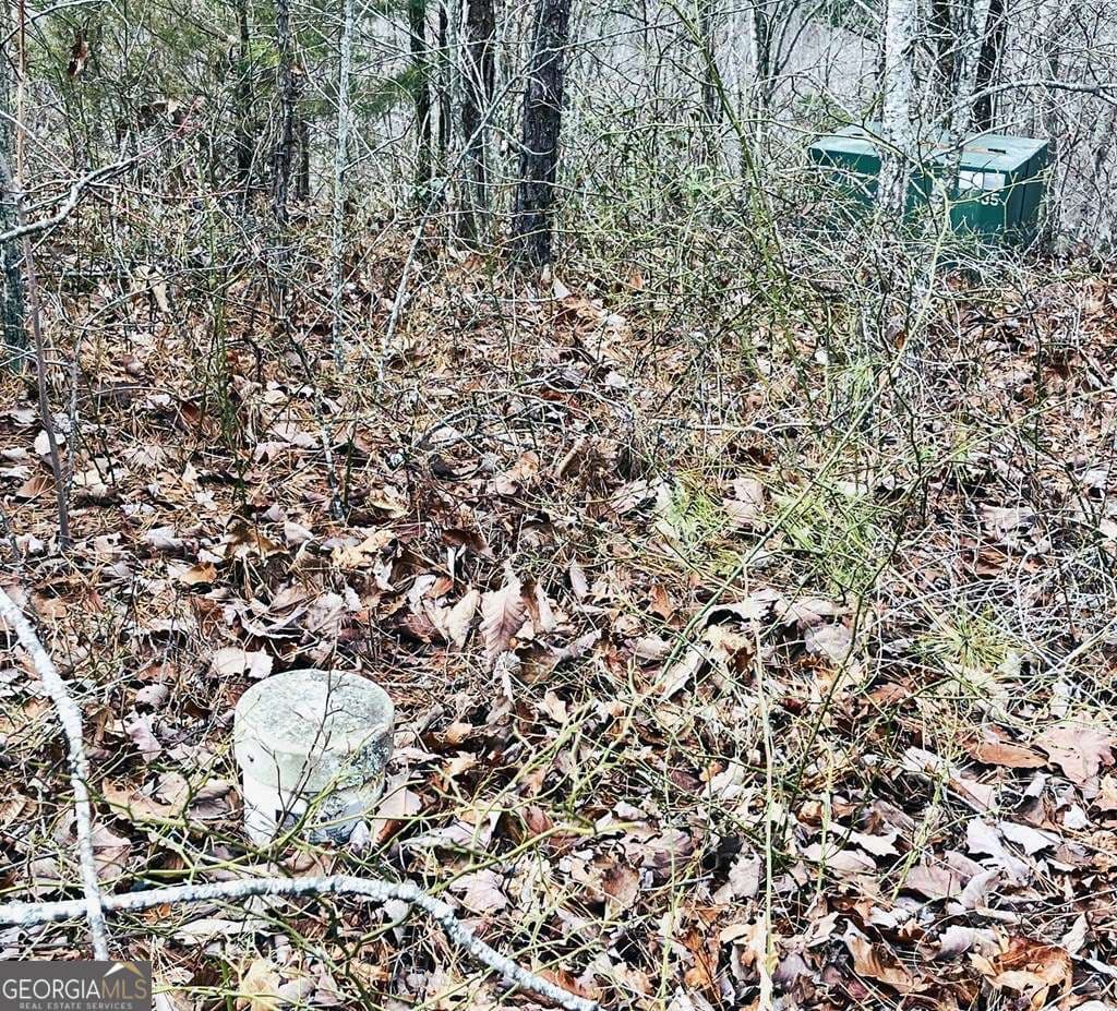 residential lot for sale at 1441 Valley View Heights Lane, Andrews, NC 28901 — photo 6