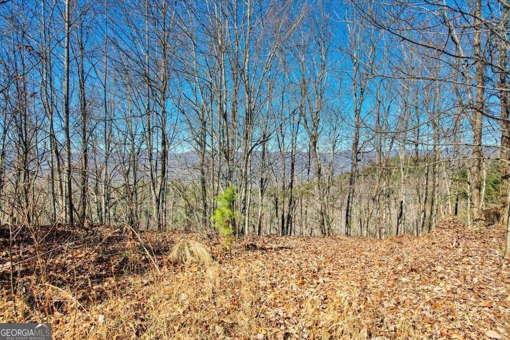 residential lot for sale at 1441 Valley View Heights Lane, Andrews, NC 28901 — photo 7