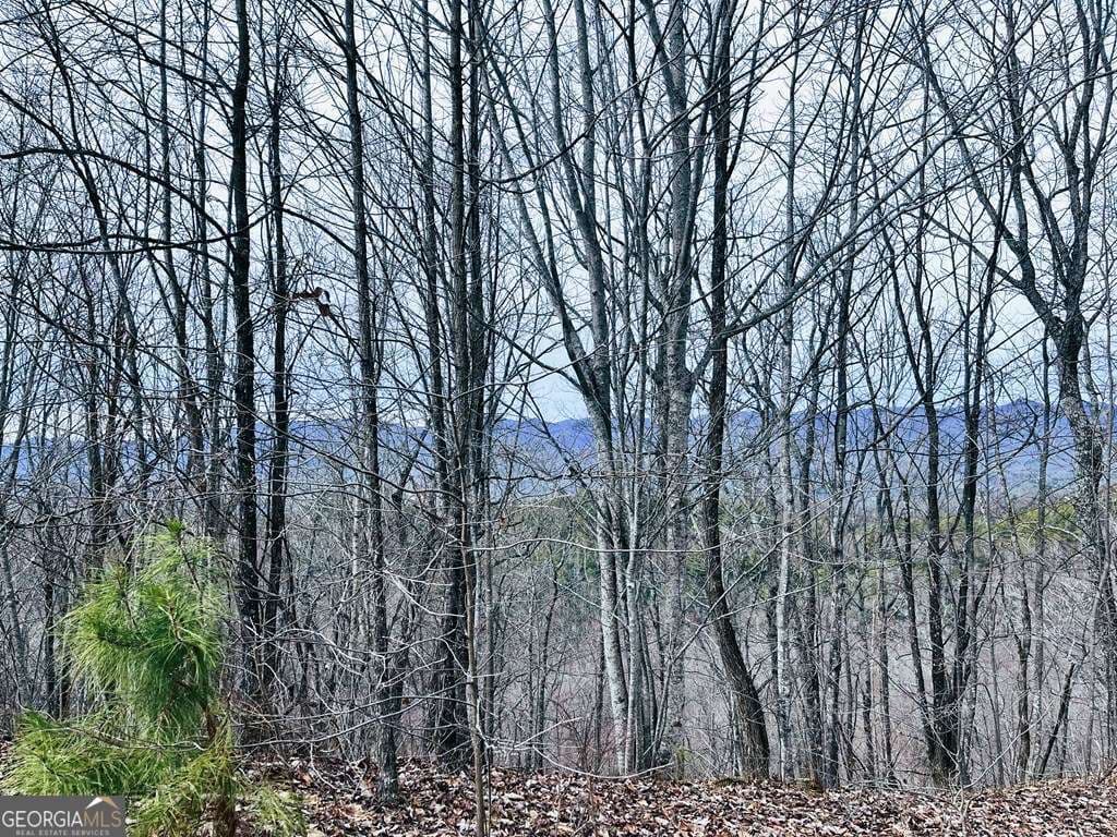 residential lot for sale at 1441 Valley View Heights Lane, Andrews, NC 28901 — photo 5